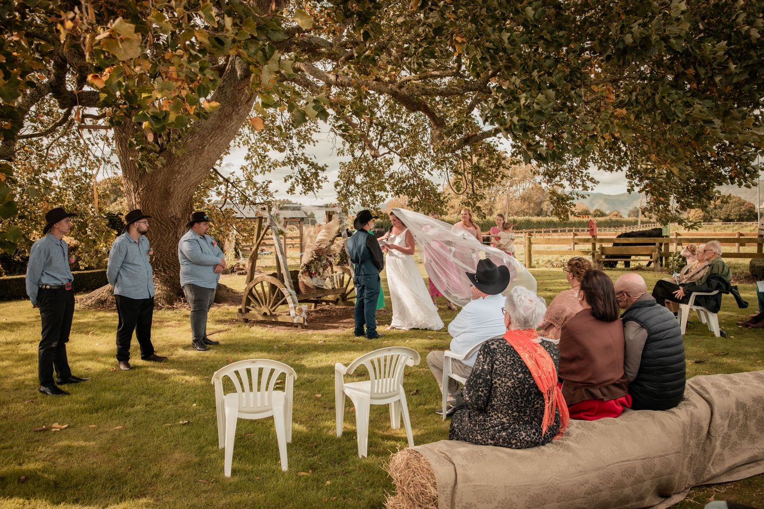 Outdoor wedding ceremony under a tree with guests seated on rustic furniture in a sunny garden setting.