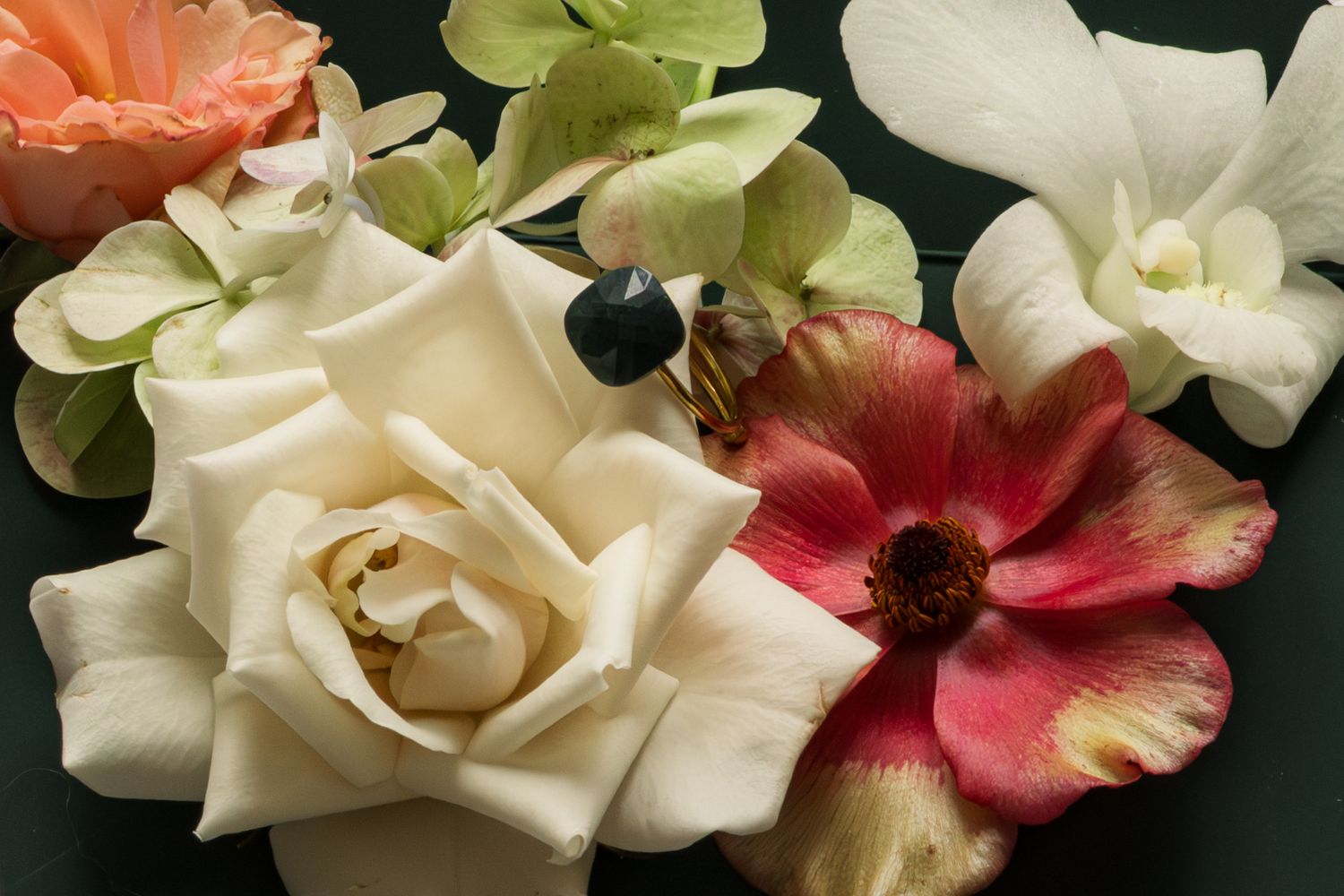 A beautiful arrangement of mixed flowers including a white rose, pink hibiscus, and green hydrangea on a dark background.