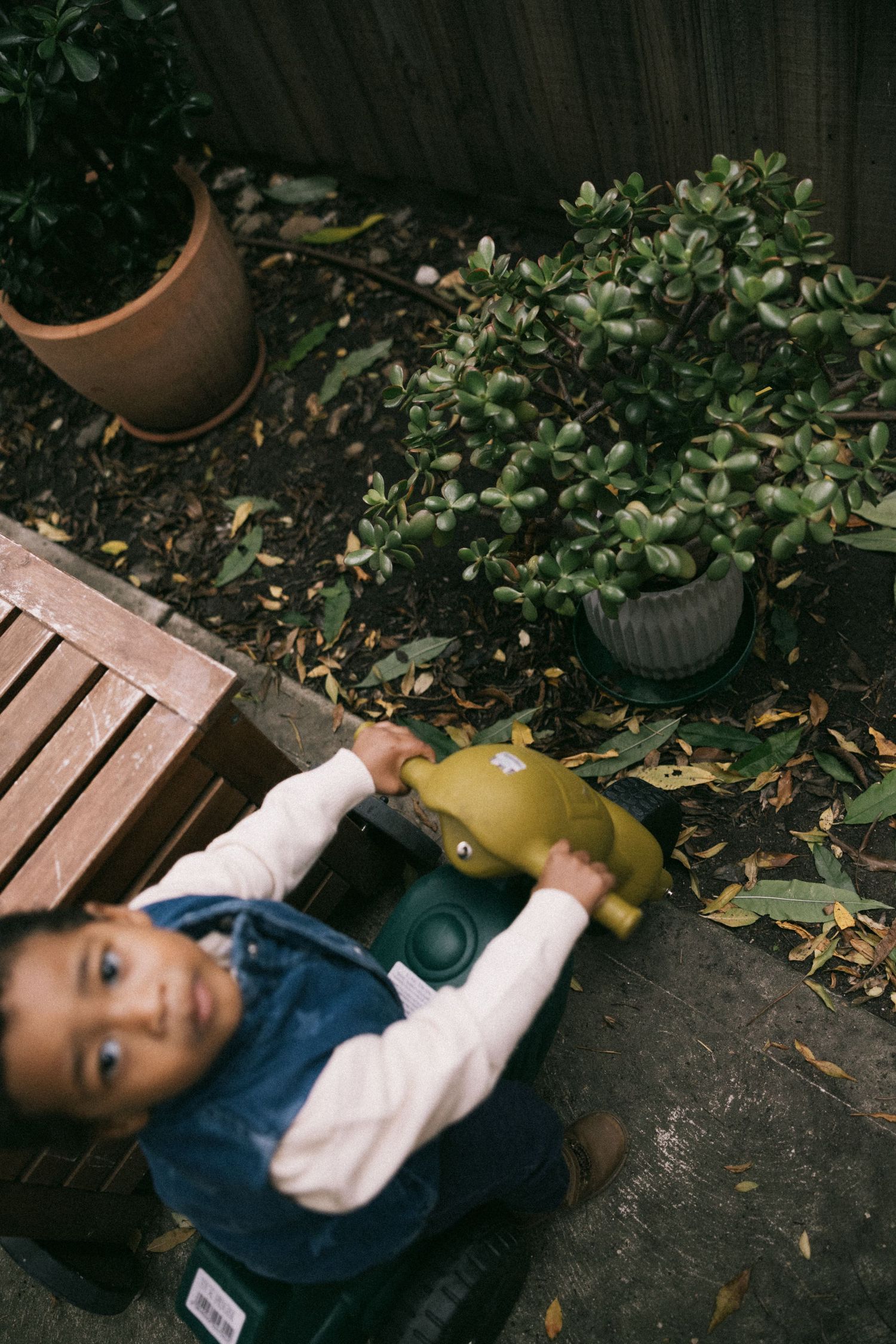 Young toddler in denim overallsrides a bicycle in a garden surrounded by potted plants and fallen leaves.