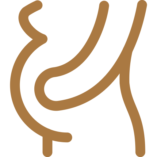 Golden abstract icon depicting the human digestive or intestinal system.