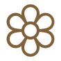 Brown outlined flower icon on white background.
