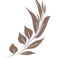 Elegant brown botanical illustration of leaves and feathers on a white background.