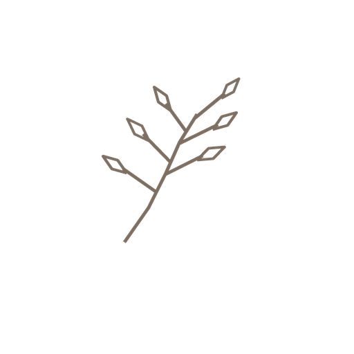 A minimalist line art illustration of a botanical branch with diamond-shaped leaves in warm taupe color.