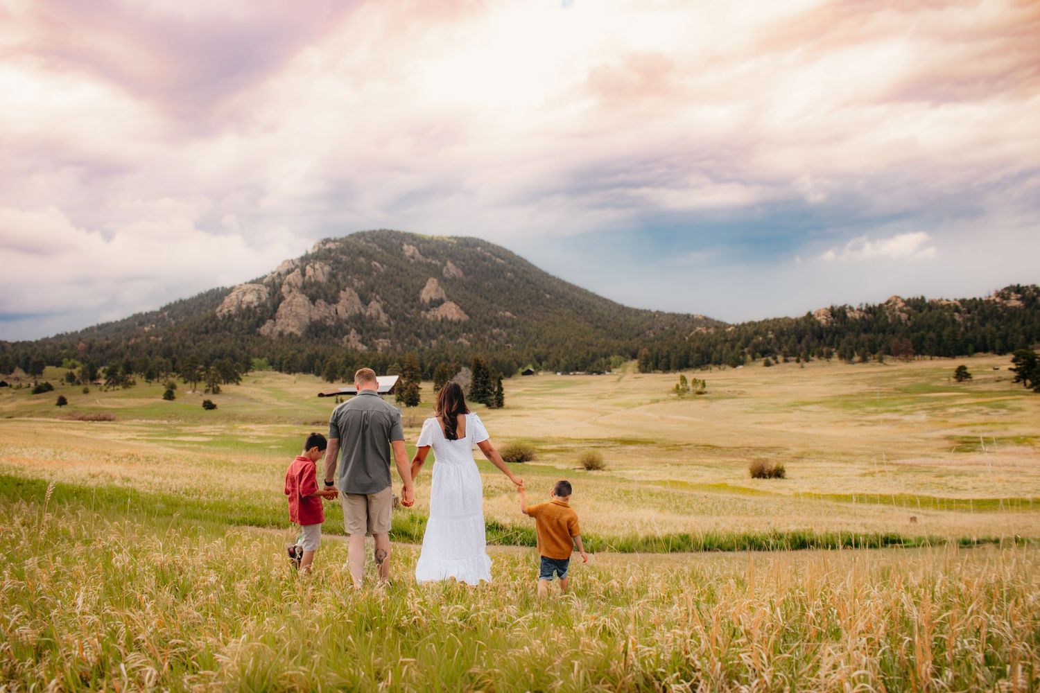 Family of four walking hand in hand through a golden meadow toward a scenic mountain.