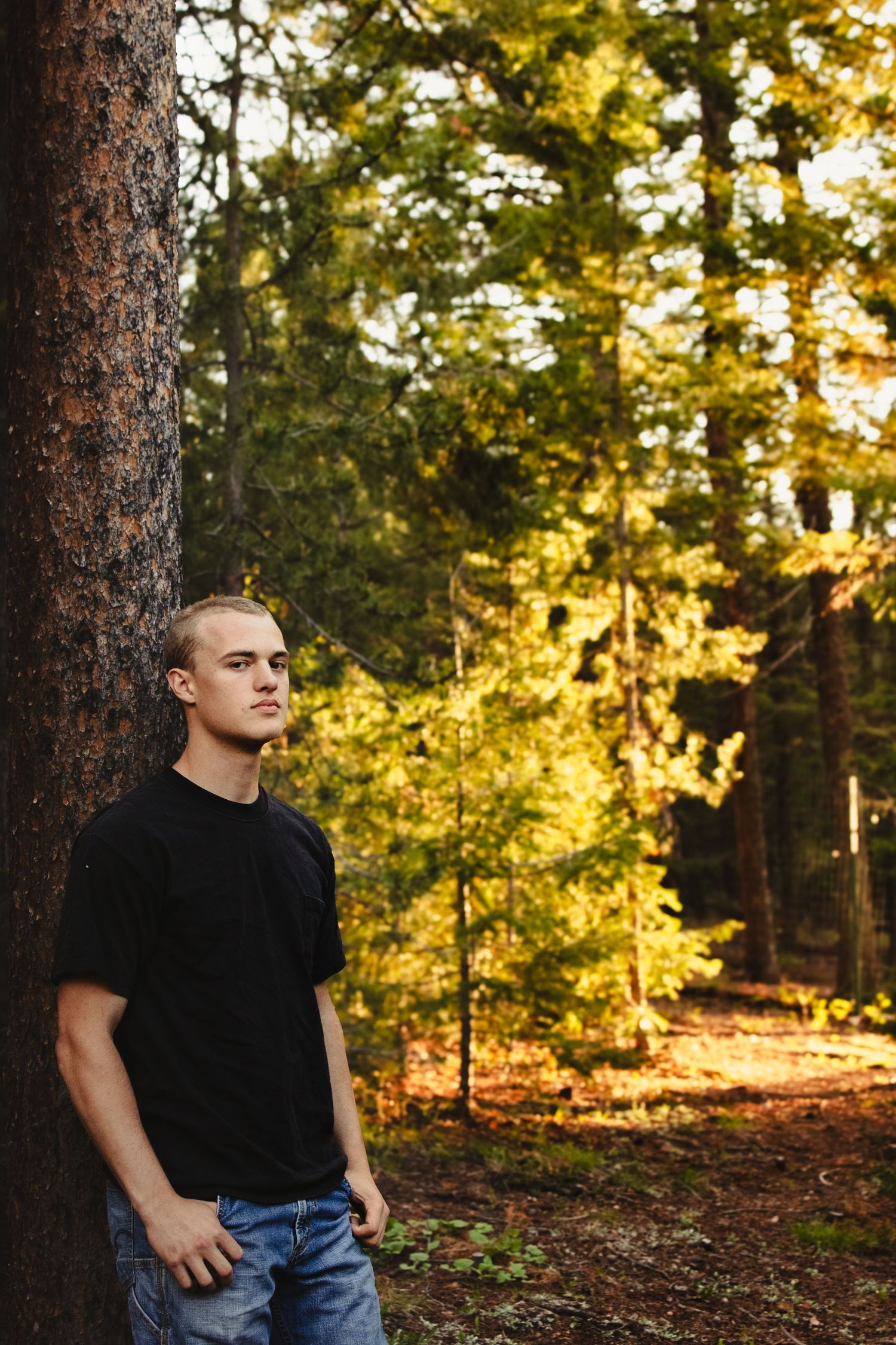 A young man in a black t-shirt and jeans leans against a tree in a sunlit autumn forest.