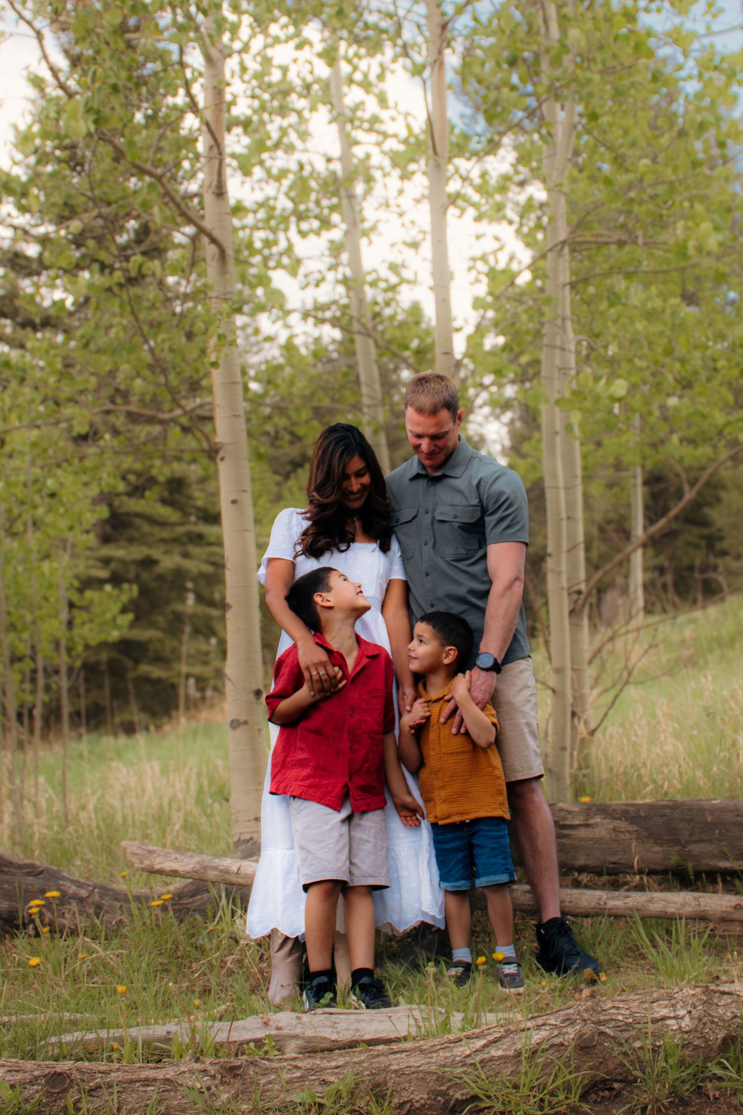 A happy family of four embraces among tall aspen trees in a lush green forest setting.