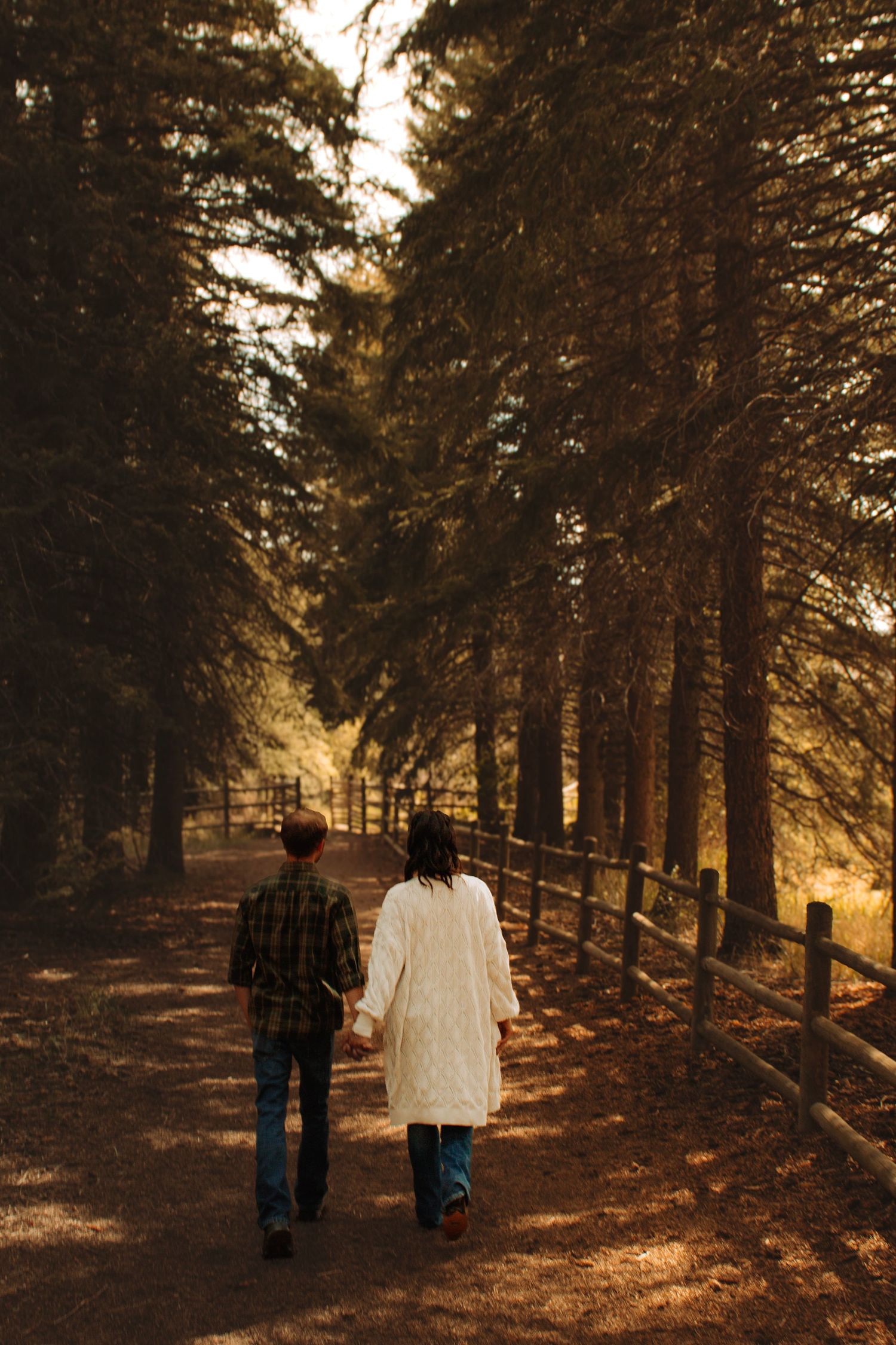 Couple walking hand in hand down a sunlit forest path lined with tall pine trees and wooden fence.