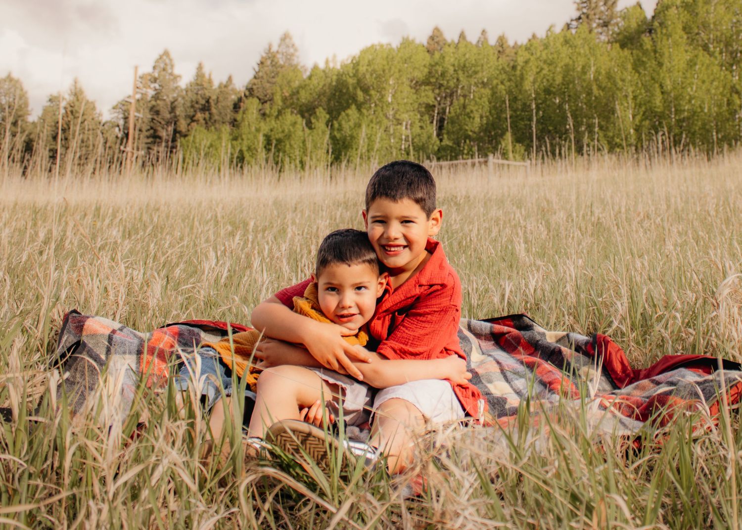 Two young brothers hugging and smiling on a plaid blanket in a tall grass meadow at golden hour.