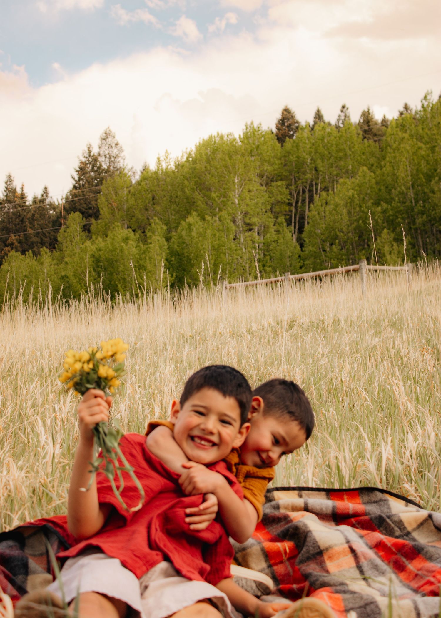 Two young brothers laughing and cuddling on a blanket in a sunny meadow with wildflowers.