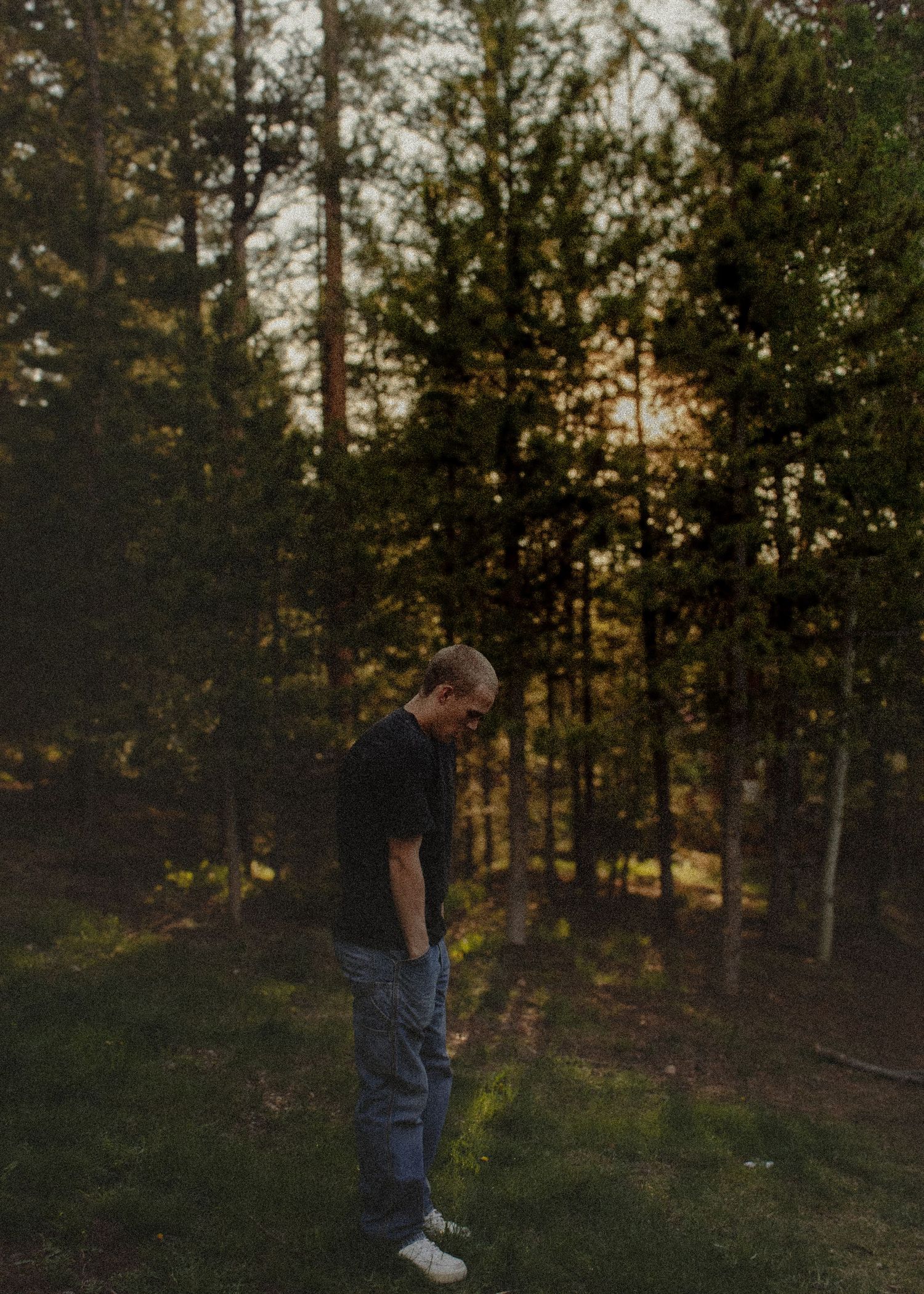 A young man in a black shirt and jeans stands looking down in a serene forest at sunset.