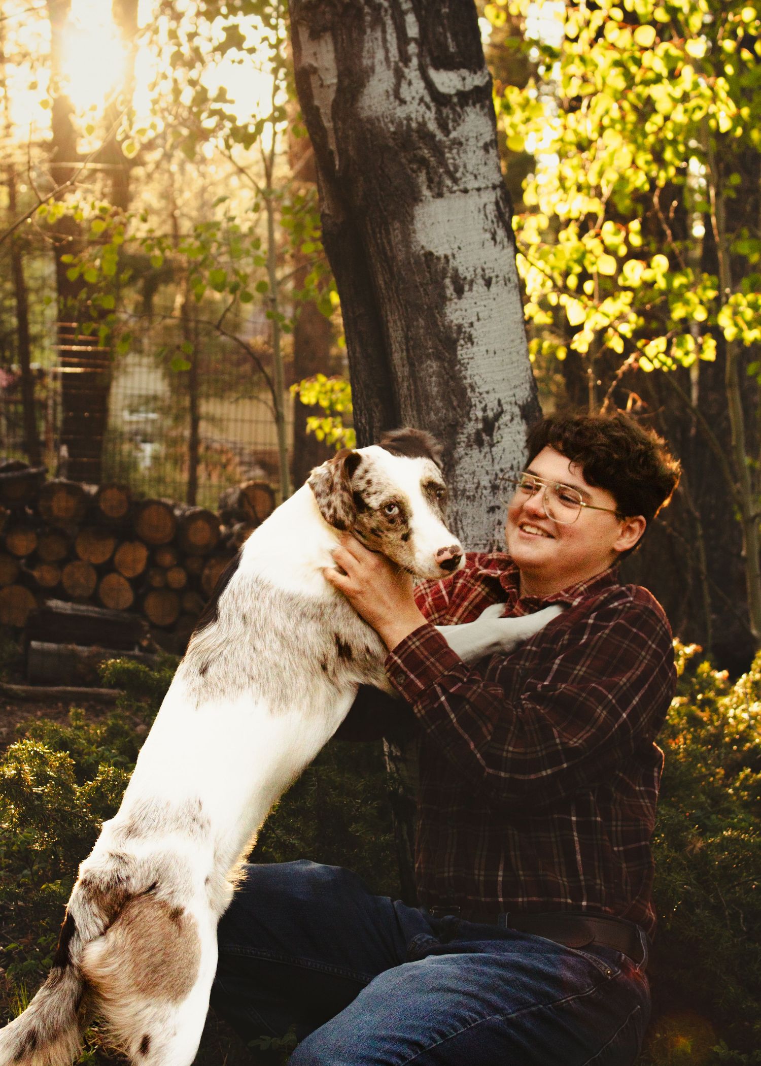 A smiling person in a plaid shirt plays with a white and gray dog outdoors in a sunlit forest setting.