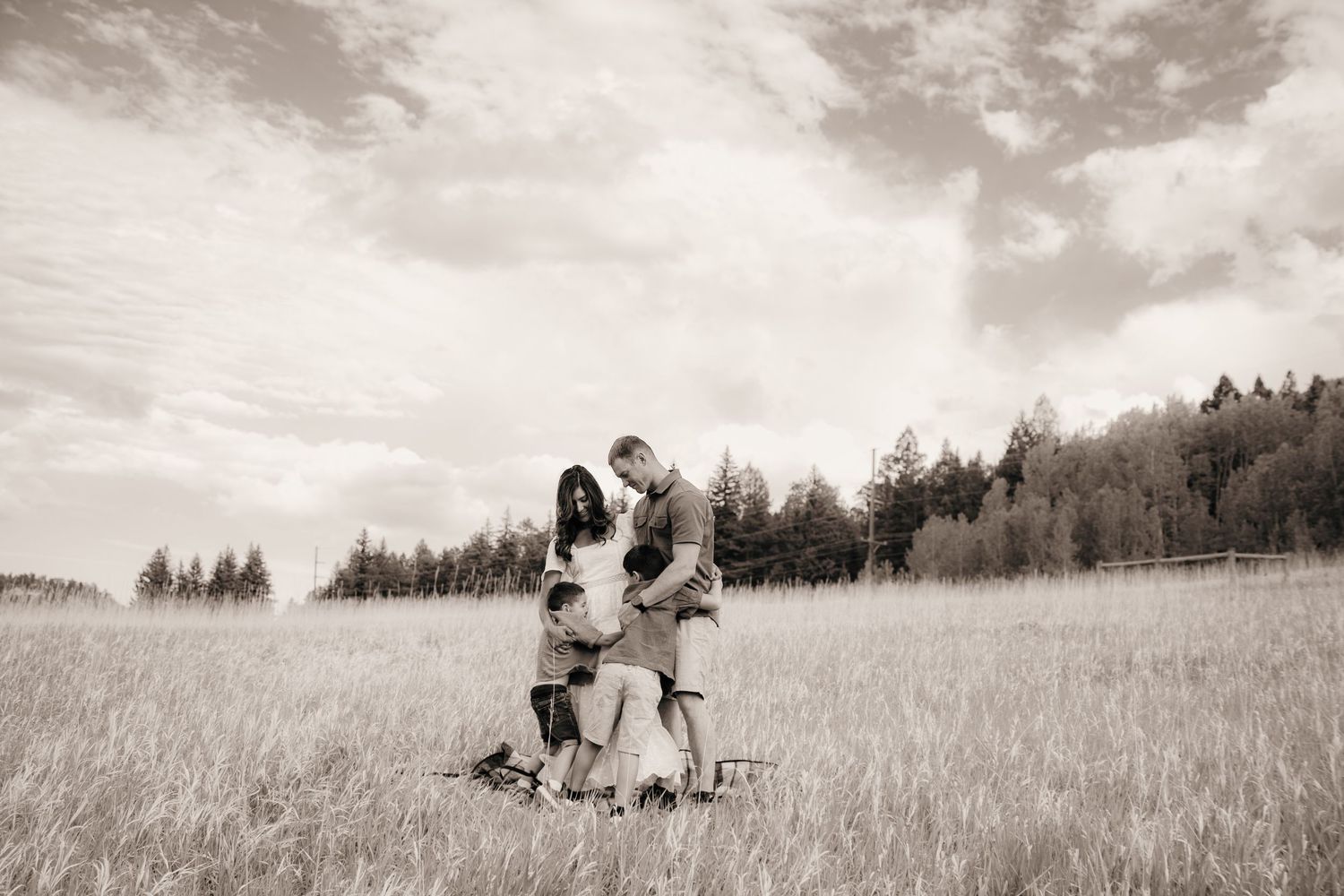 Couple standing together in an open meadow with pine trees in the background in sepia tone photography.