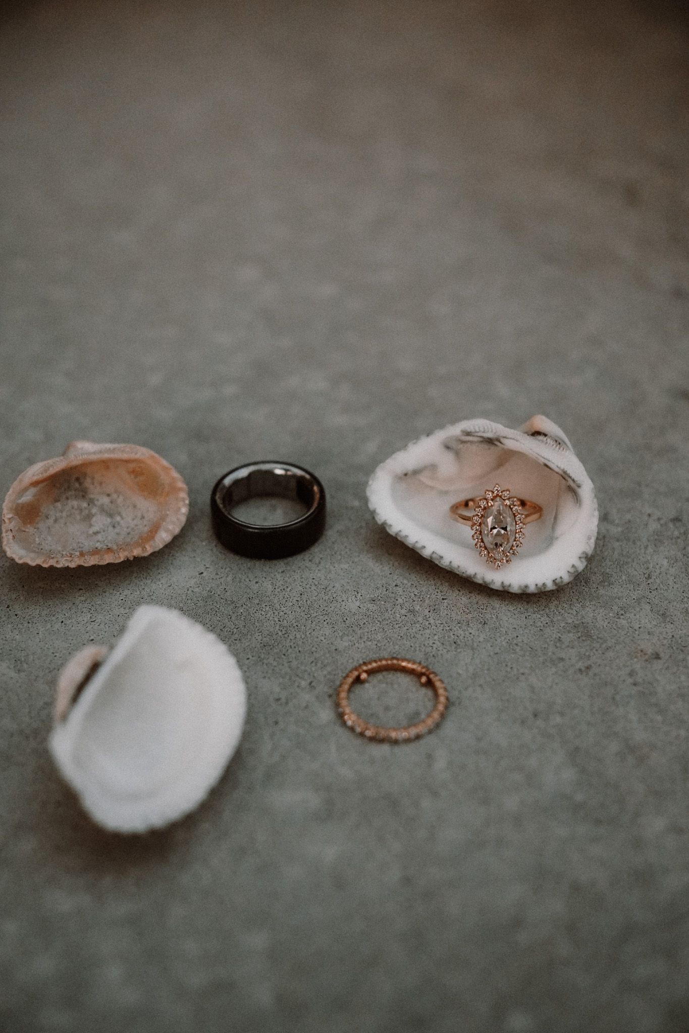 Wedding rings and engagement ring displayed in seashells on a gray surface, featuring rose gold and black bands.