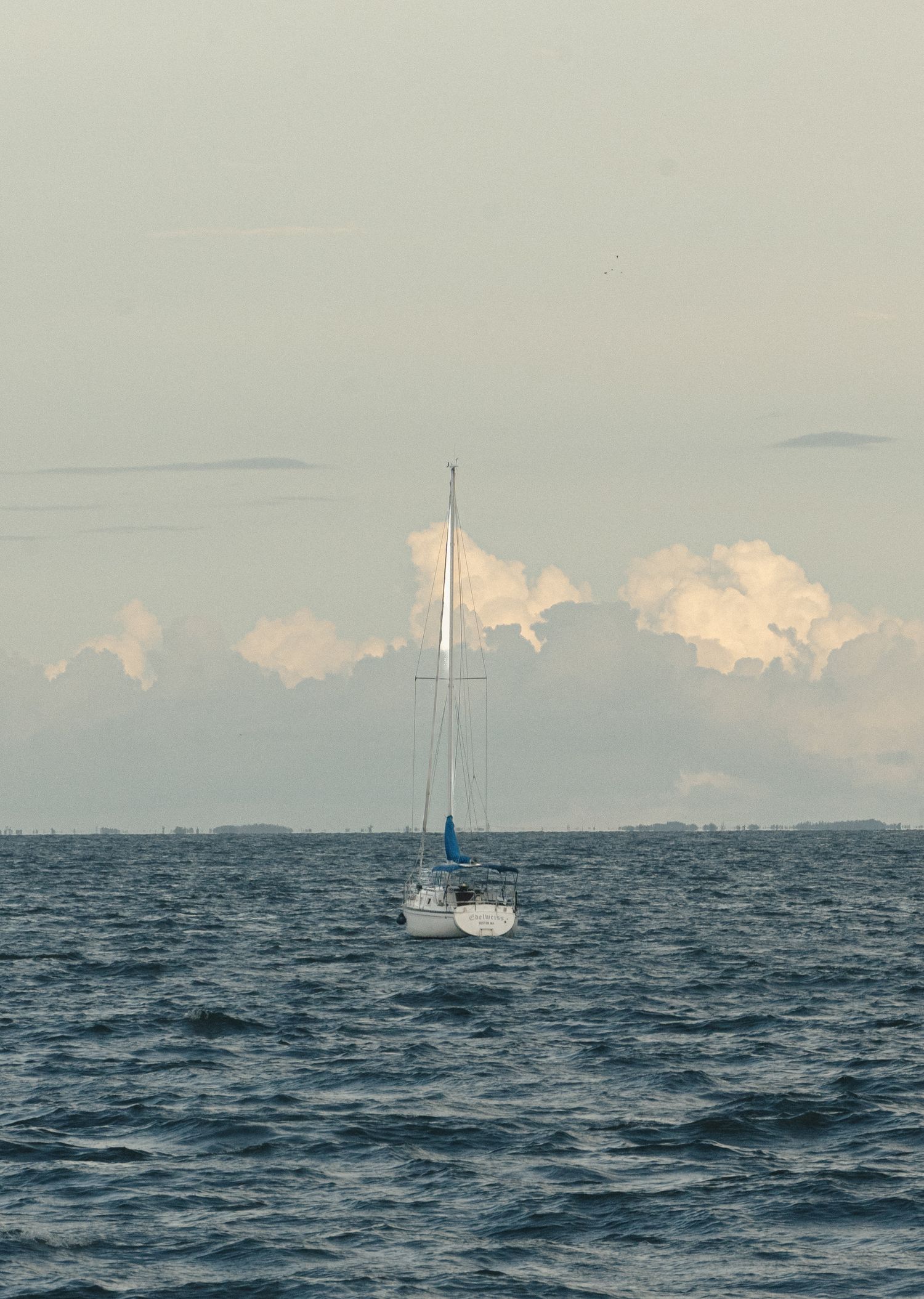 A white sailboat with a blue sail floats on choppy ocean waters beneath a partly cloudy sky.