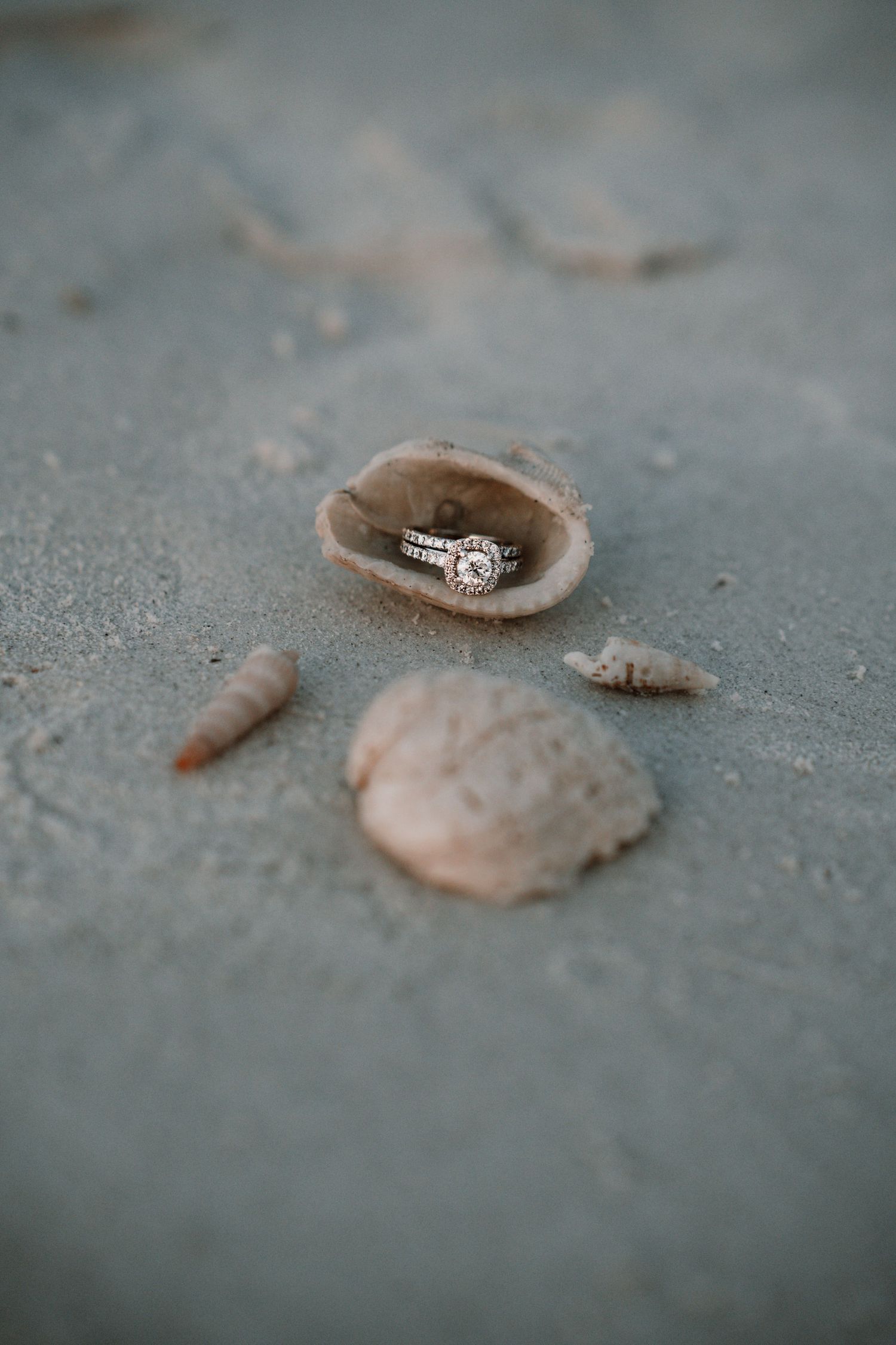 Diamond engagement ring resting inside a small seashell on sandy beach, surrounded by scattered shells.