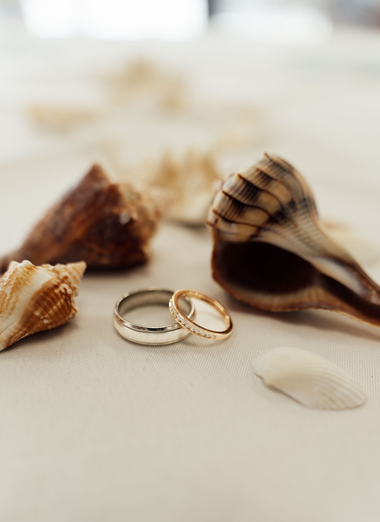 Two wedding rings, silver and gold, rest beside decorative seashells on a soft white surface for a beach wedding.