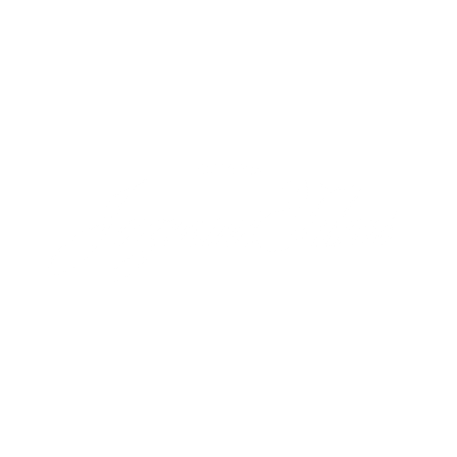 Blank white image with no visible content or subject matter.