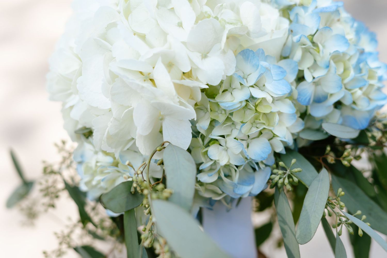Close-up of bridal bouquet featuring white and blue hydrangeas with soft eucalyptus greenery accents.
