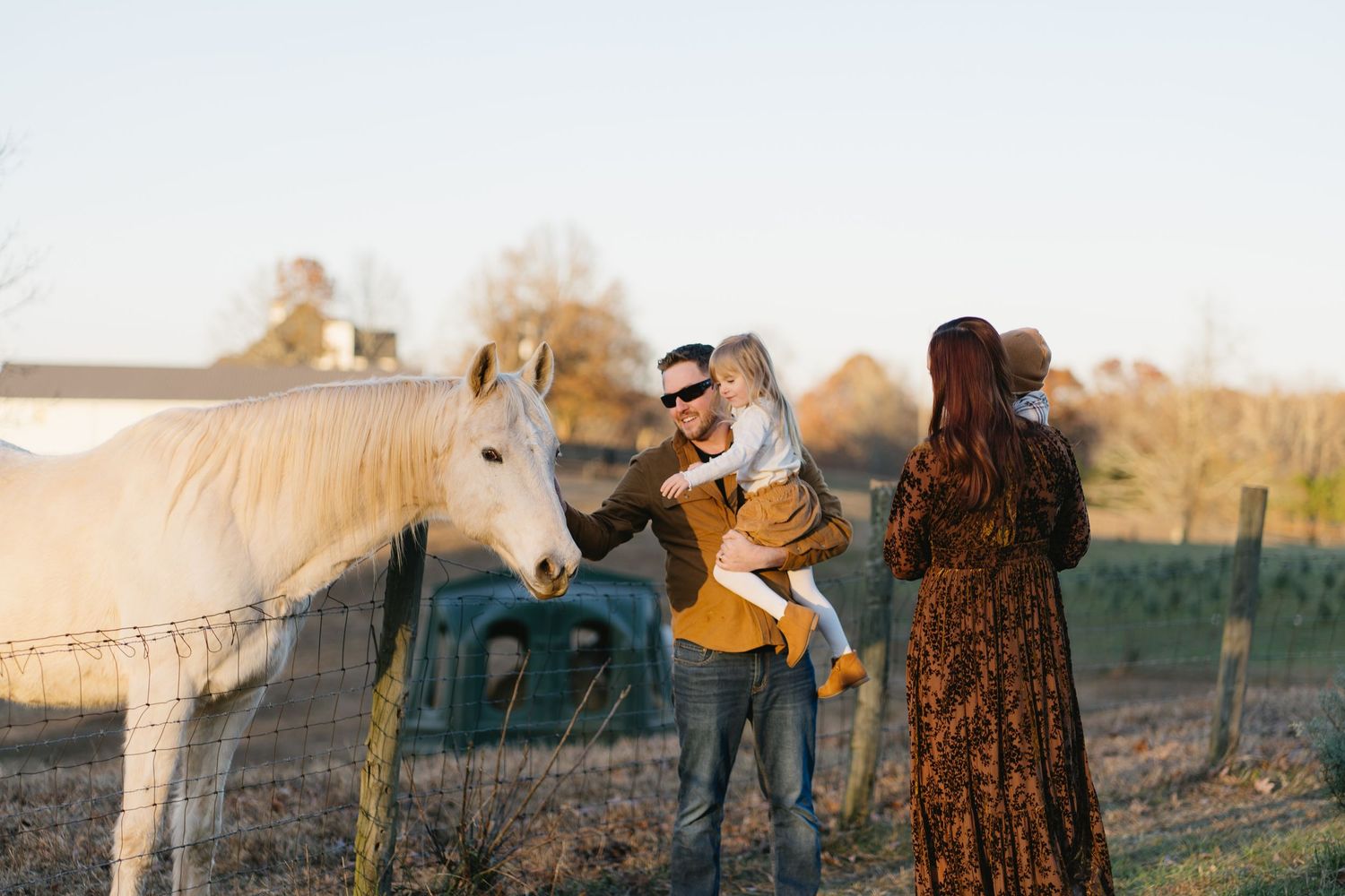 Family with young child interacting with a white horse on a sunny farm, surrounded by rustic fencing and green fields.