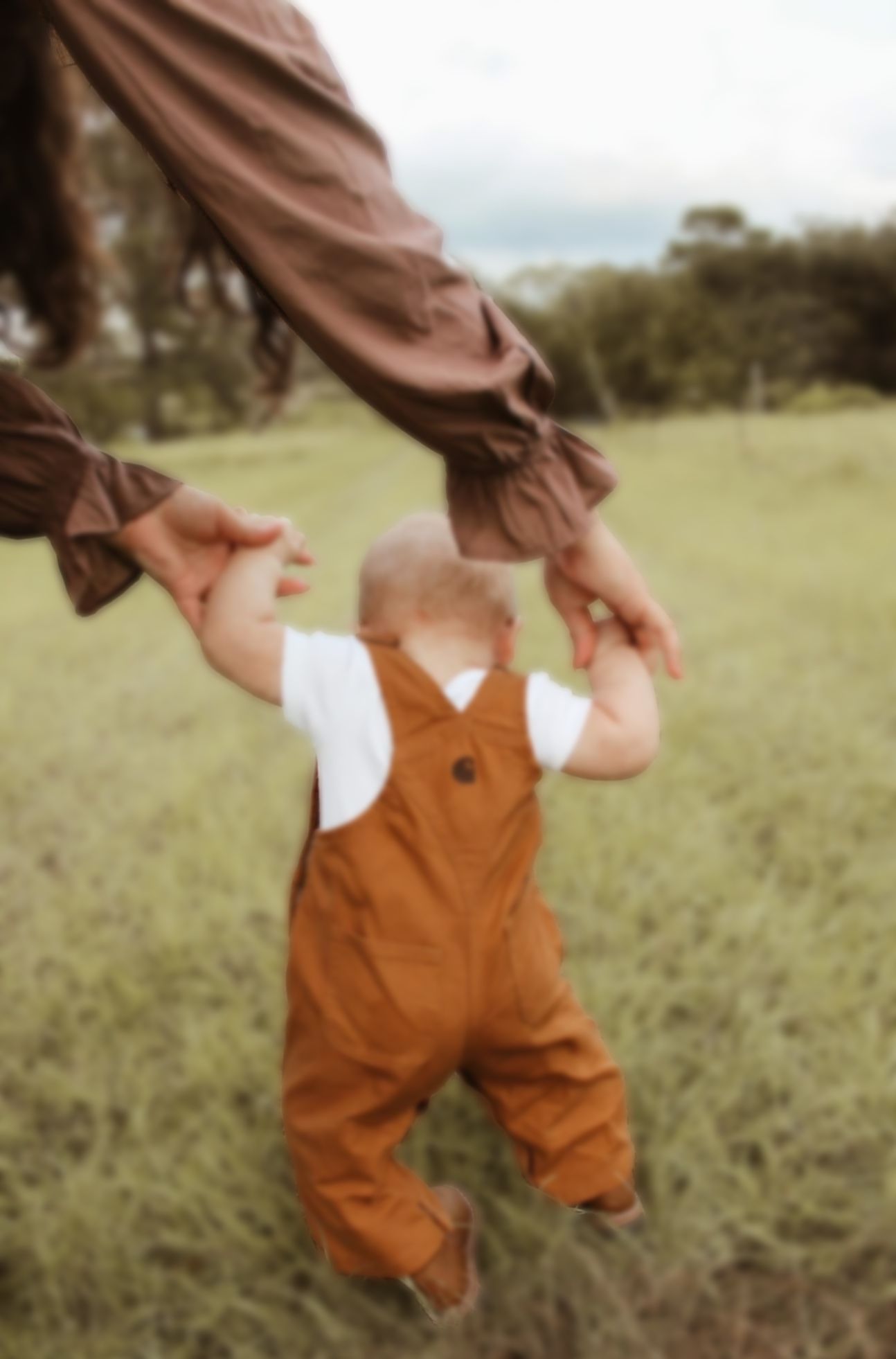 baby and family sessions photos