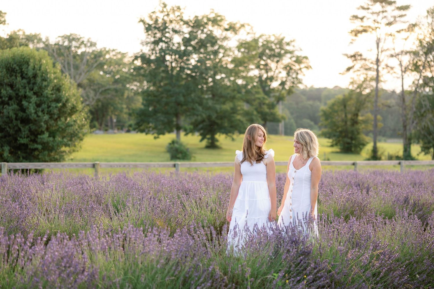 family photography in a gorgeous golden hour lavender farm field