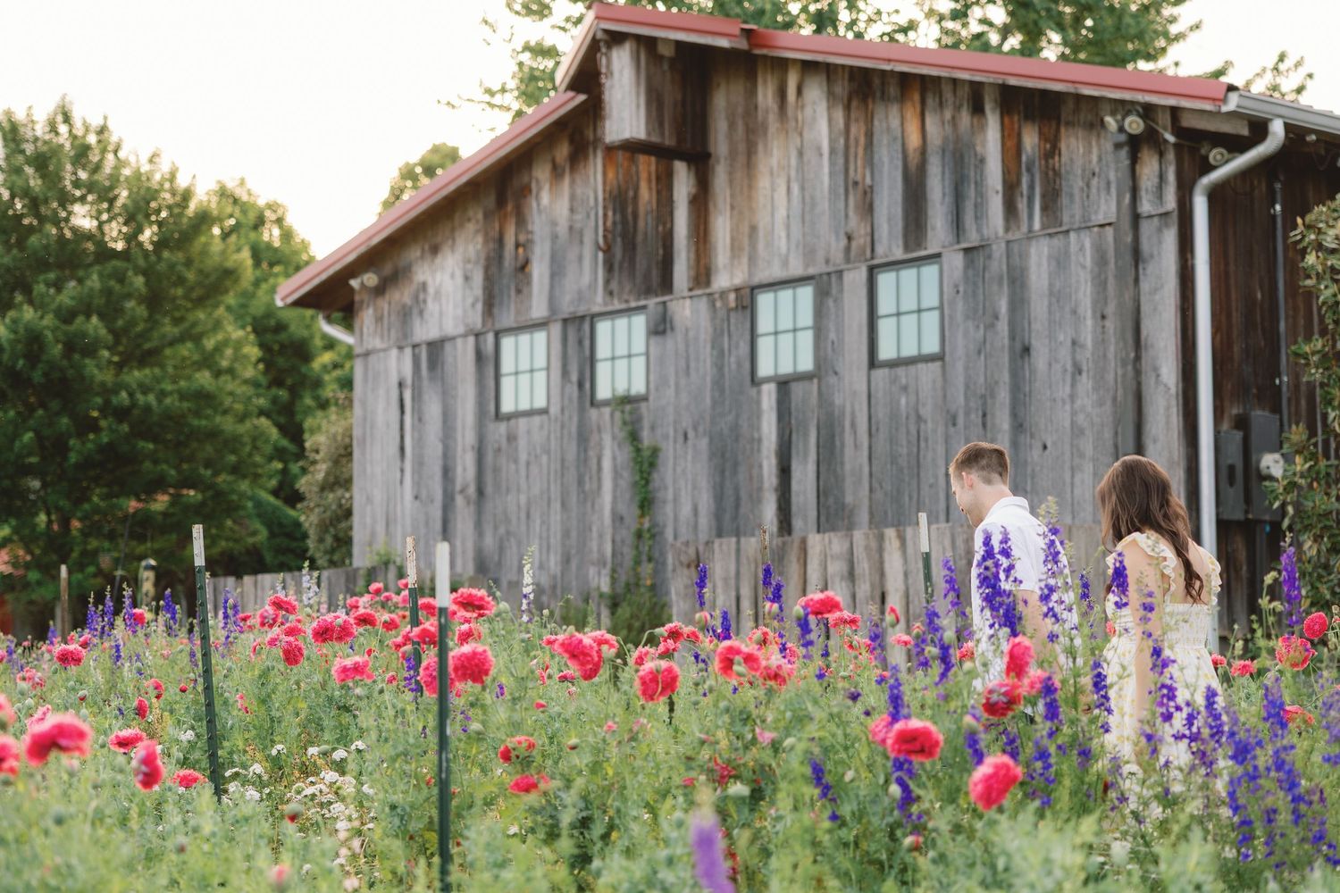 maternity photography in a beautiful flower field
