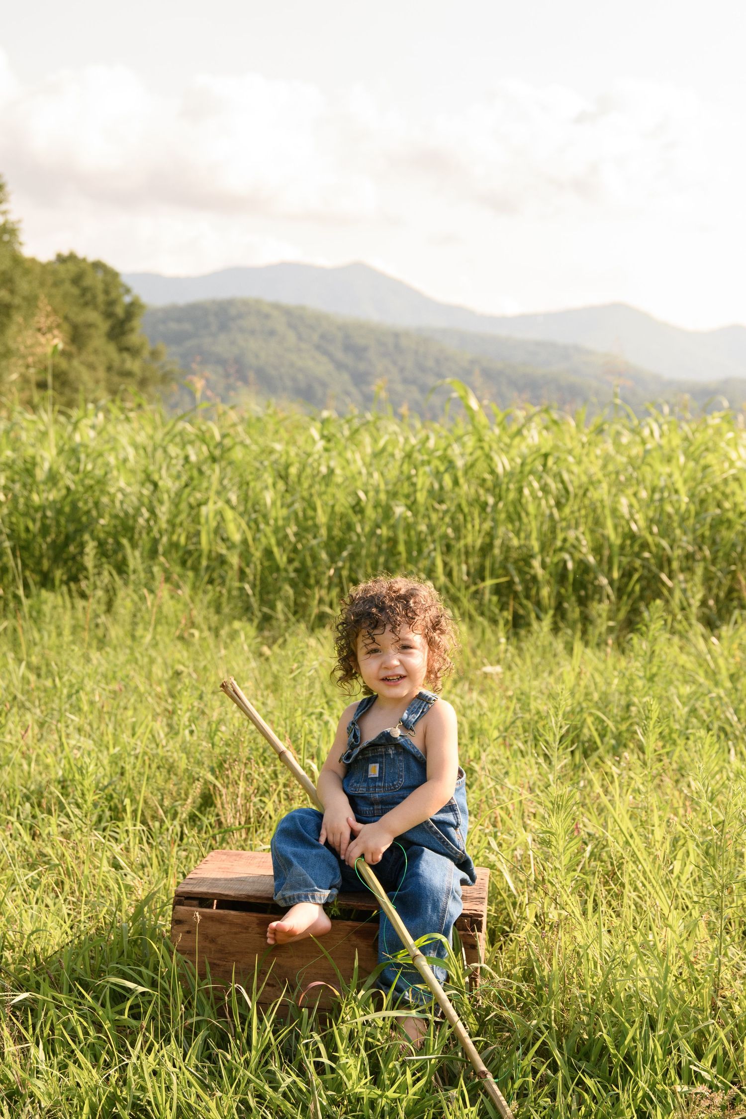 Curly-haired toddler in denim overalls sitting on wooden box with fishing pole in green meadow with mountain backdrop.