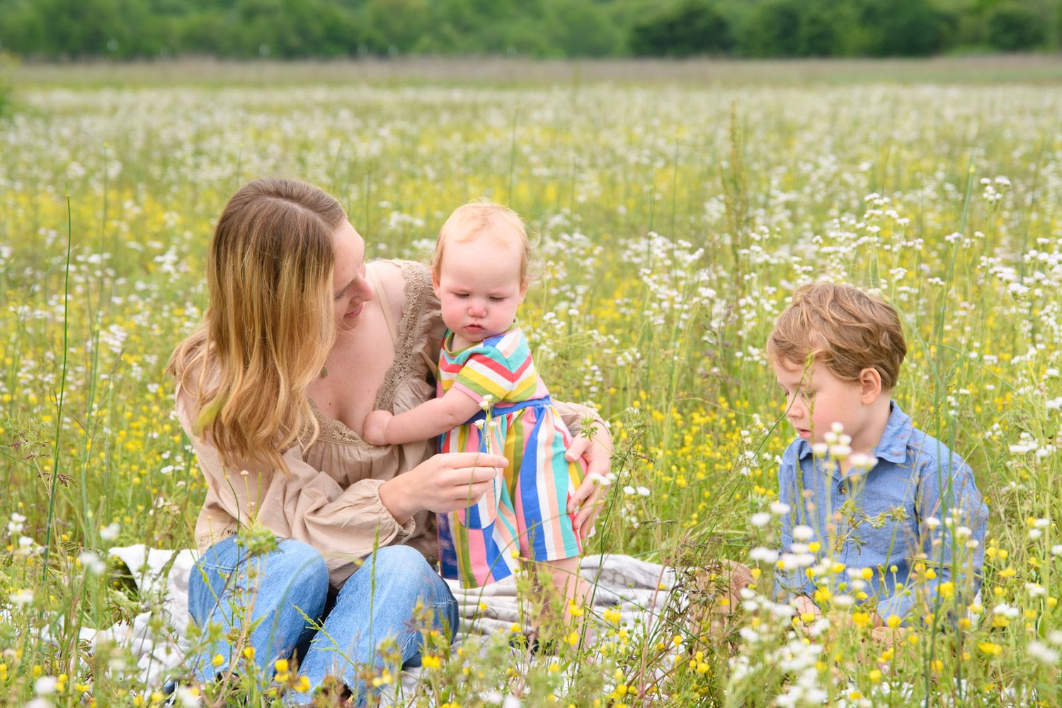 Mother and baby sitting in a wildflower meadow with young boy, enjoying a sunny outdoor family moment.