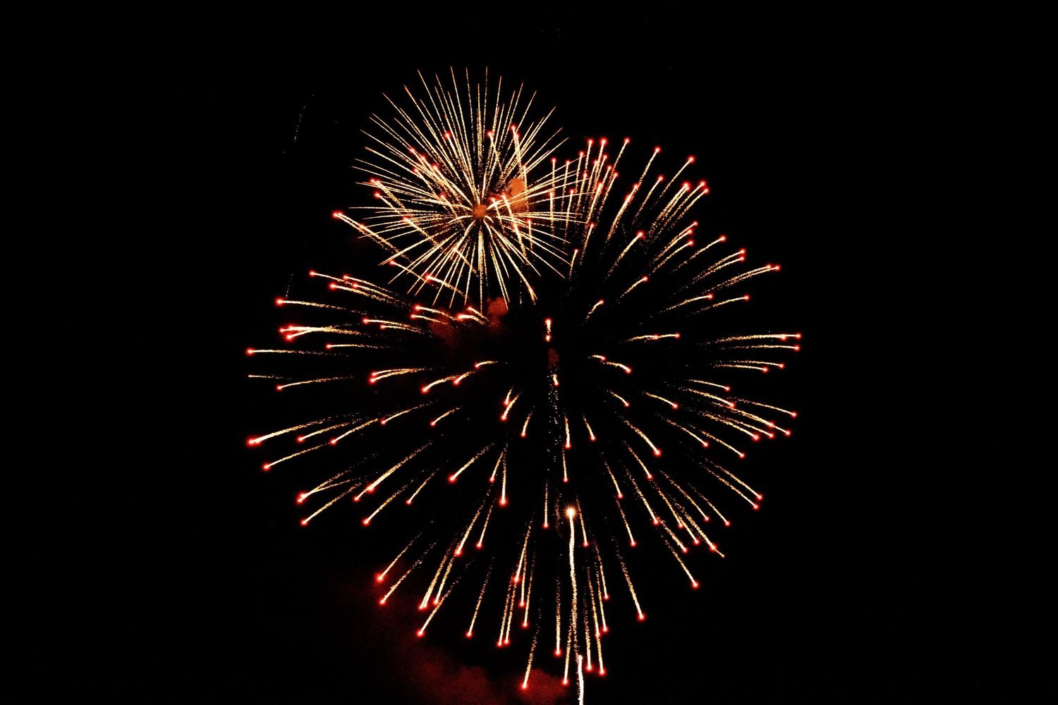 Colorful fireworks exploding in red and gold against a dark night sky.