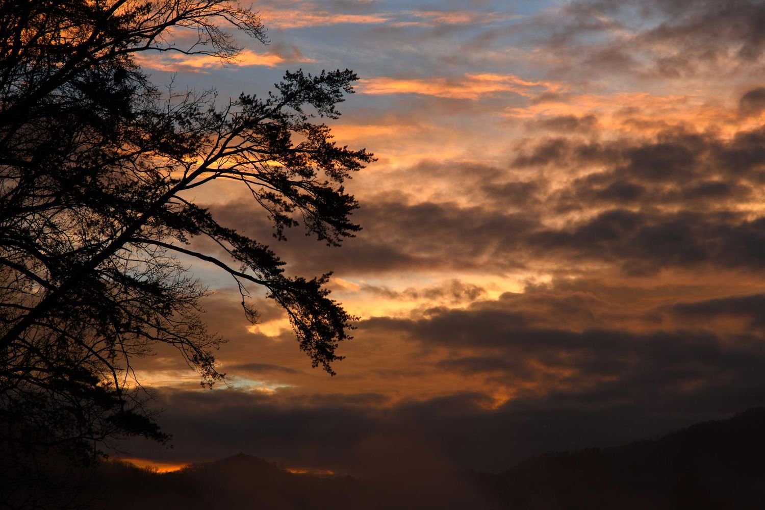 Silhouette of tree branches against a vibrant orange and purple sunset sky with dramatic clouds.