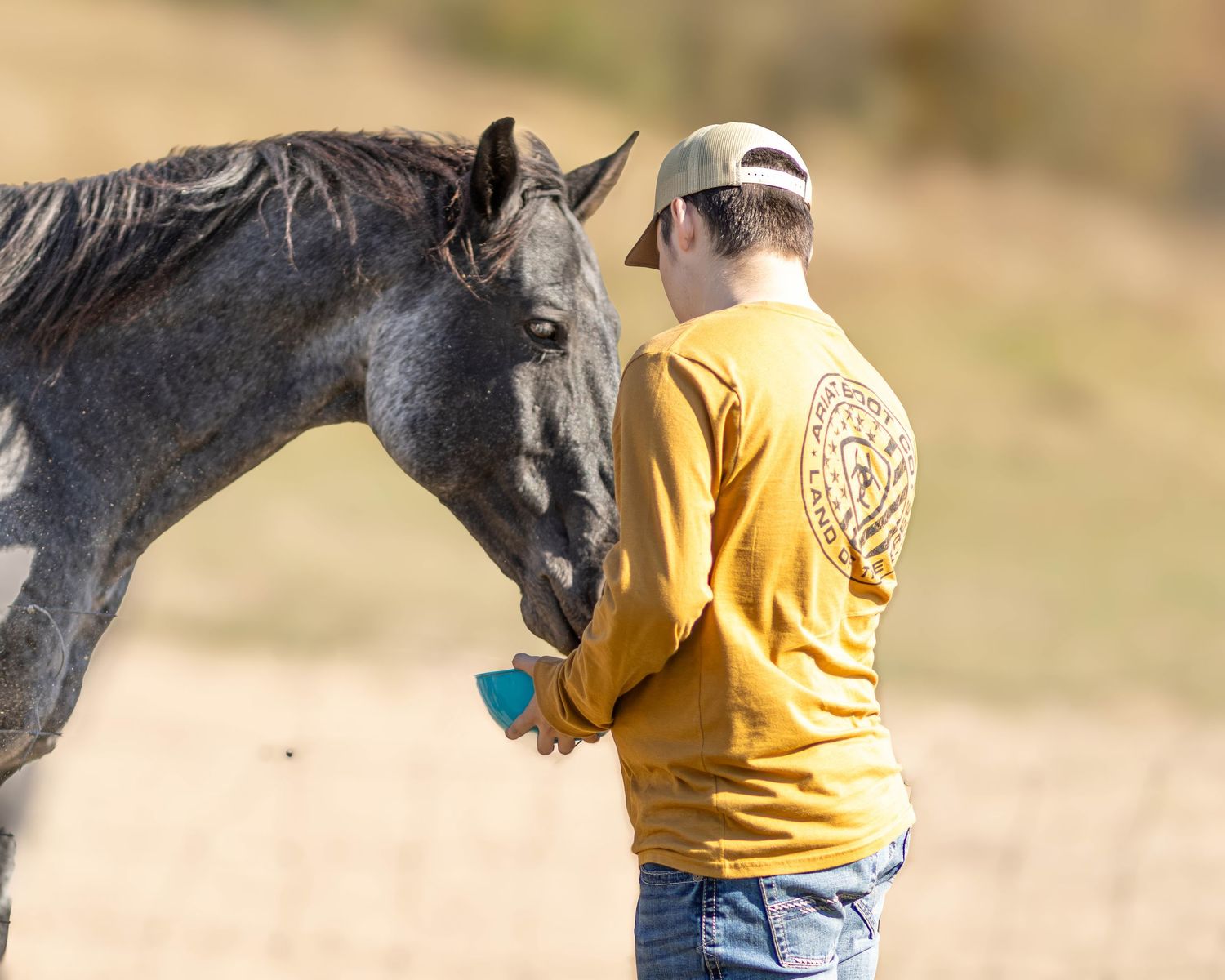 Young man in yellow shirt feeds a dark horse in an open field.