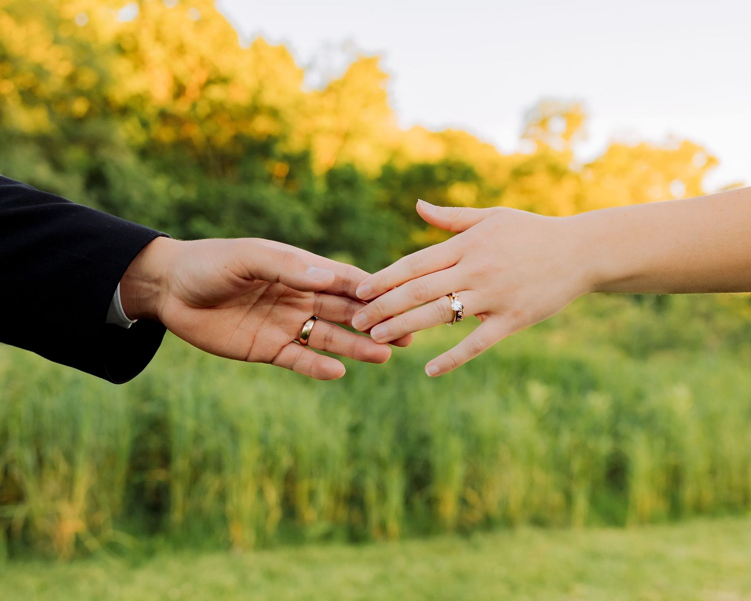 Two hands with gold wedding rings gently touching outdoors with lush green foliage in the background.