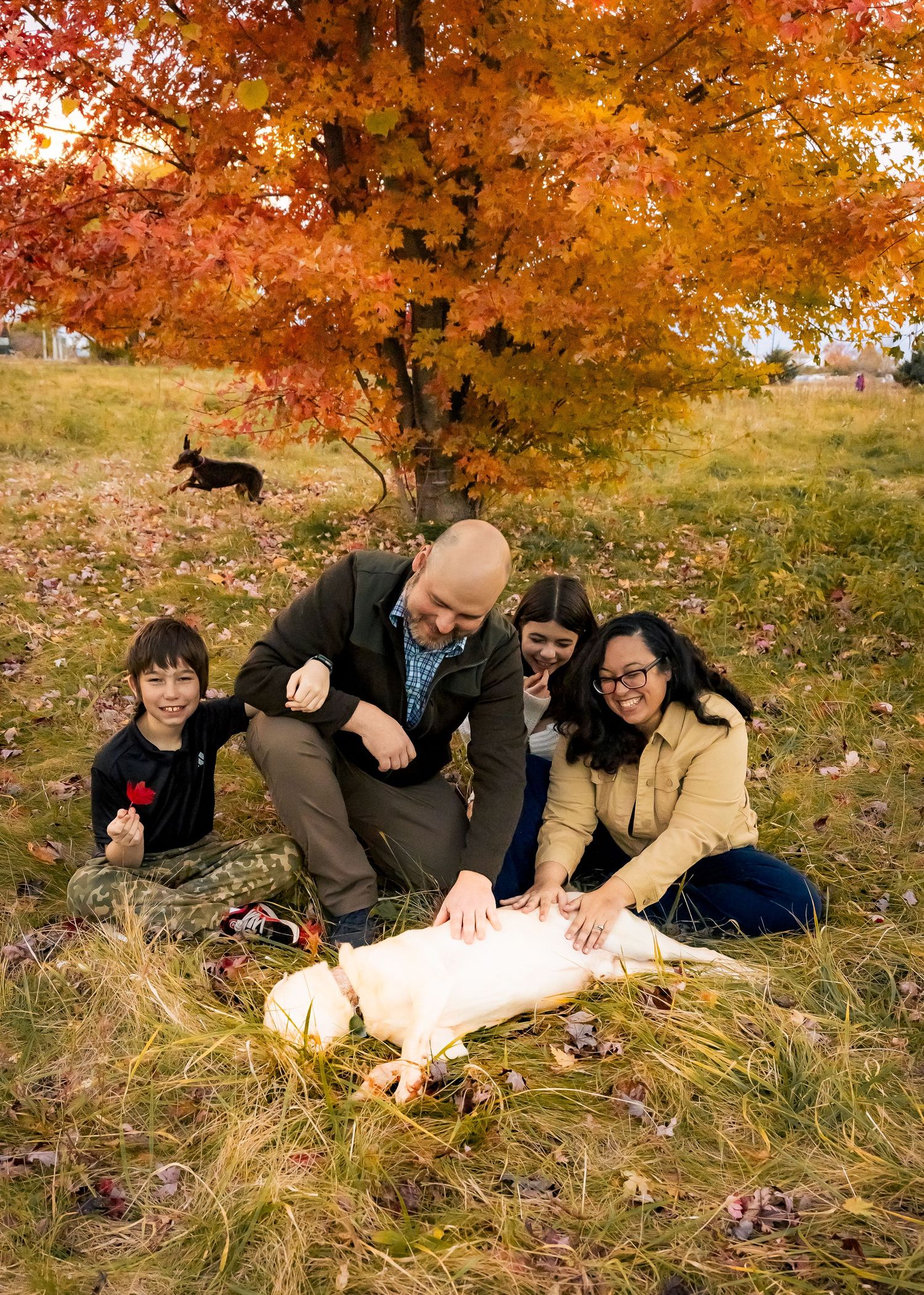 Family of four pets white dog under vibrant red maple tree in autumn park.