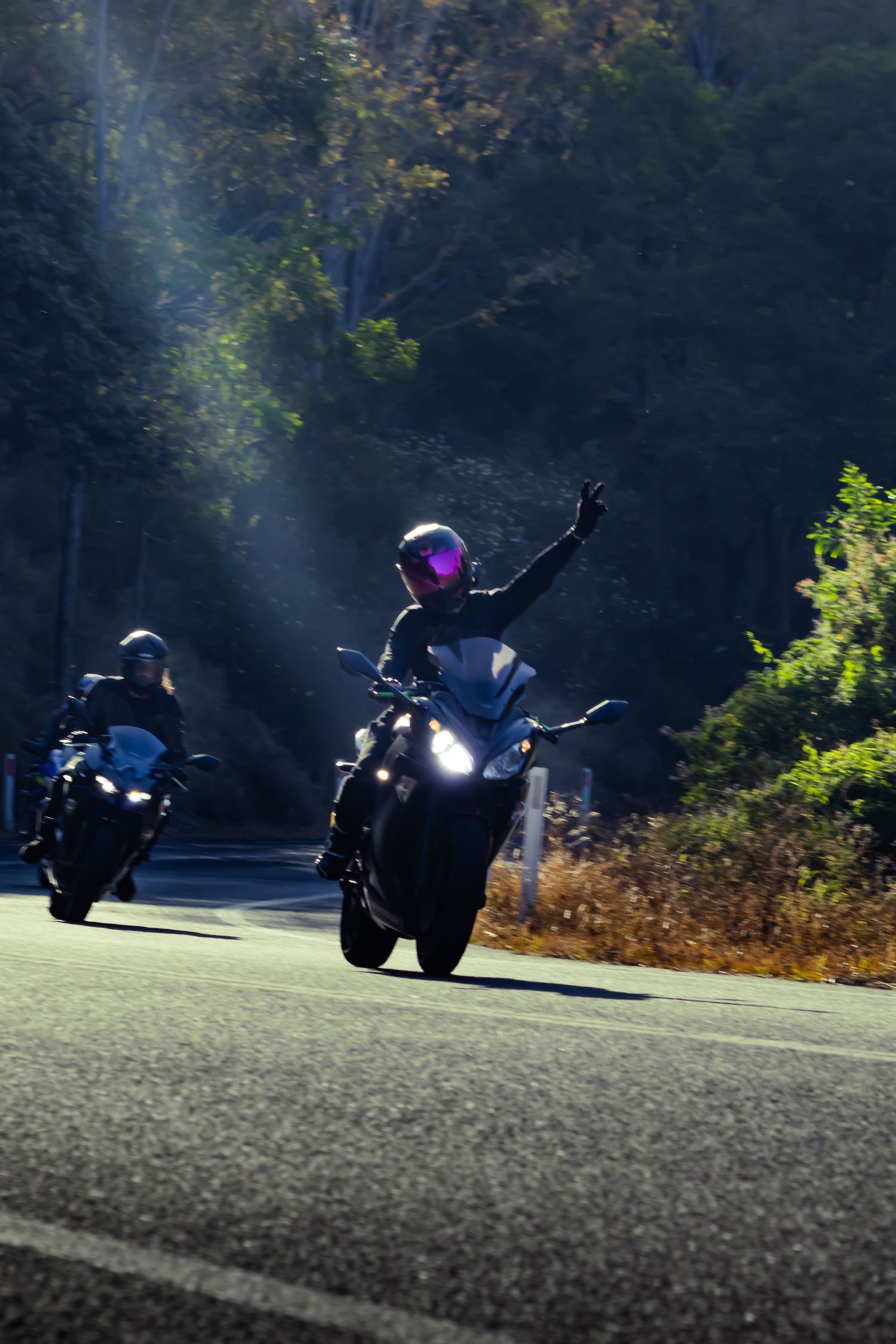 Group of motorcycles riding through winding forest road at dusk.