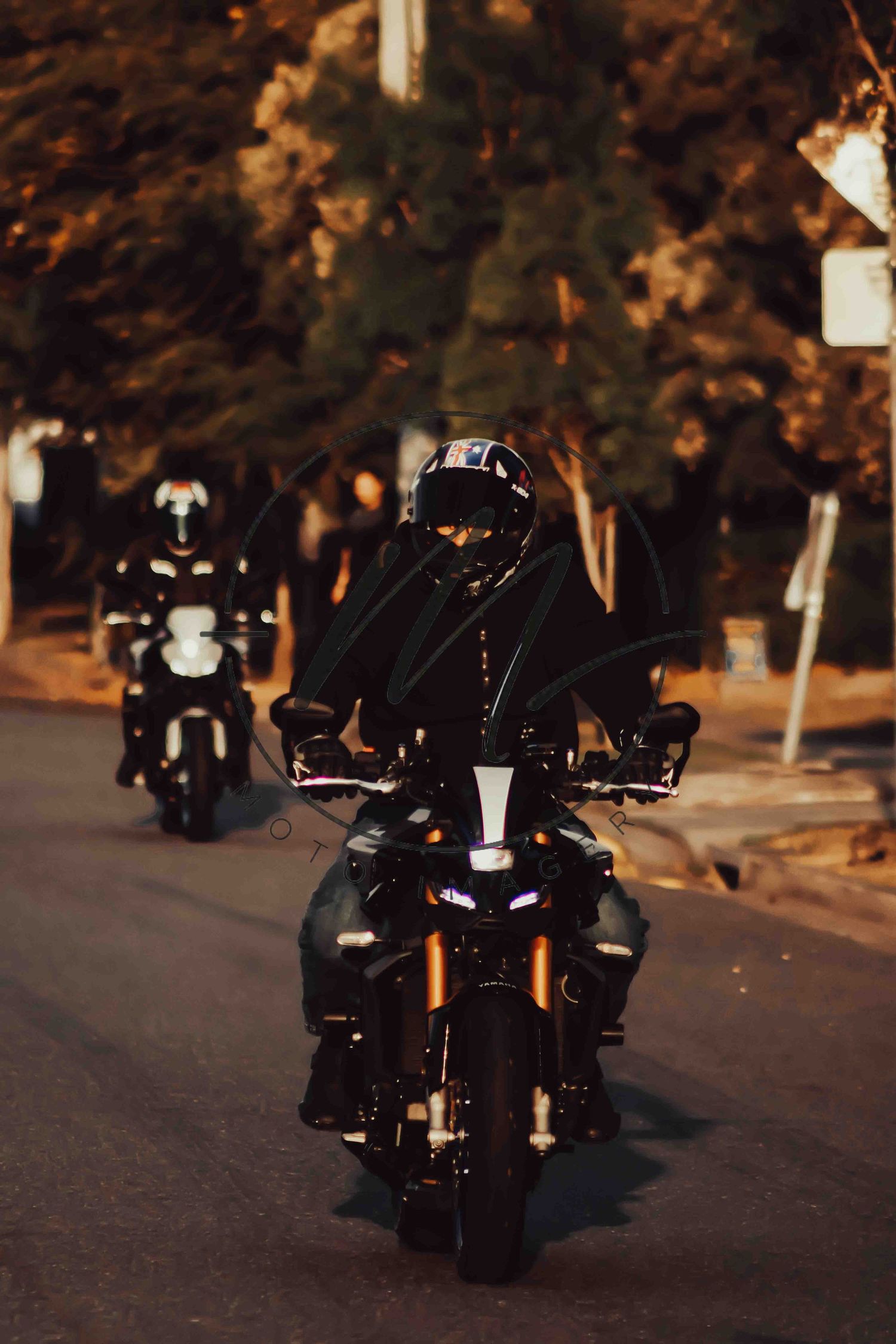 Motorcyclists in black gear and helmets riding motorcycles at night on a street lined with trees.