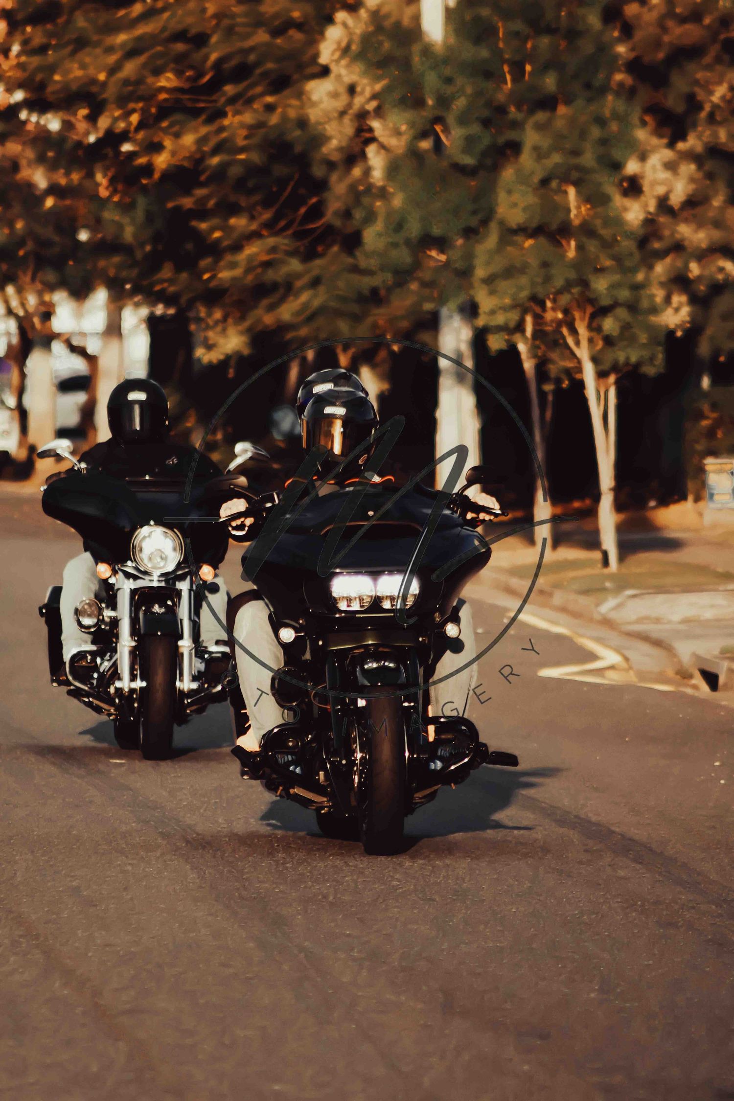 Two motorcyclists in black helmets riding large touring motorcycles down a tree-lined street at golden hour.