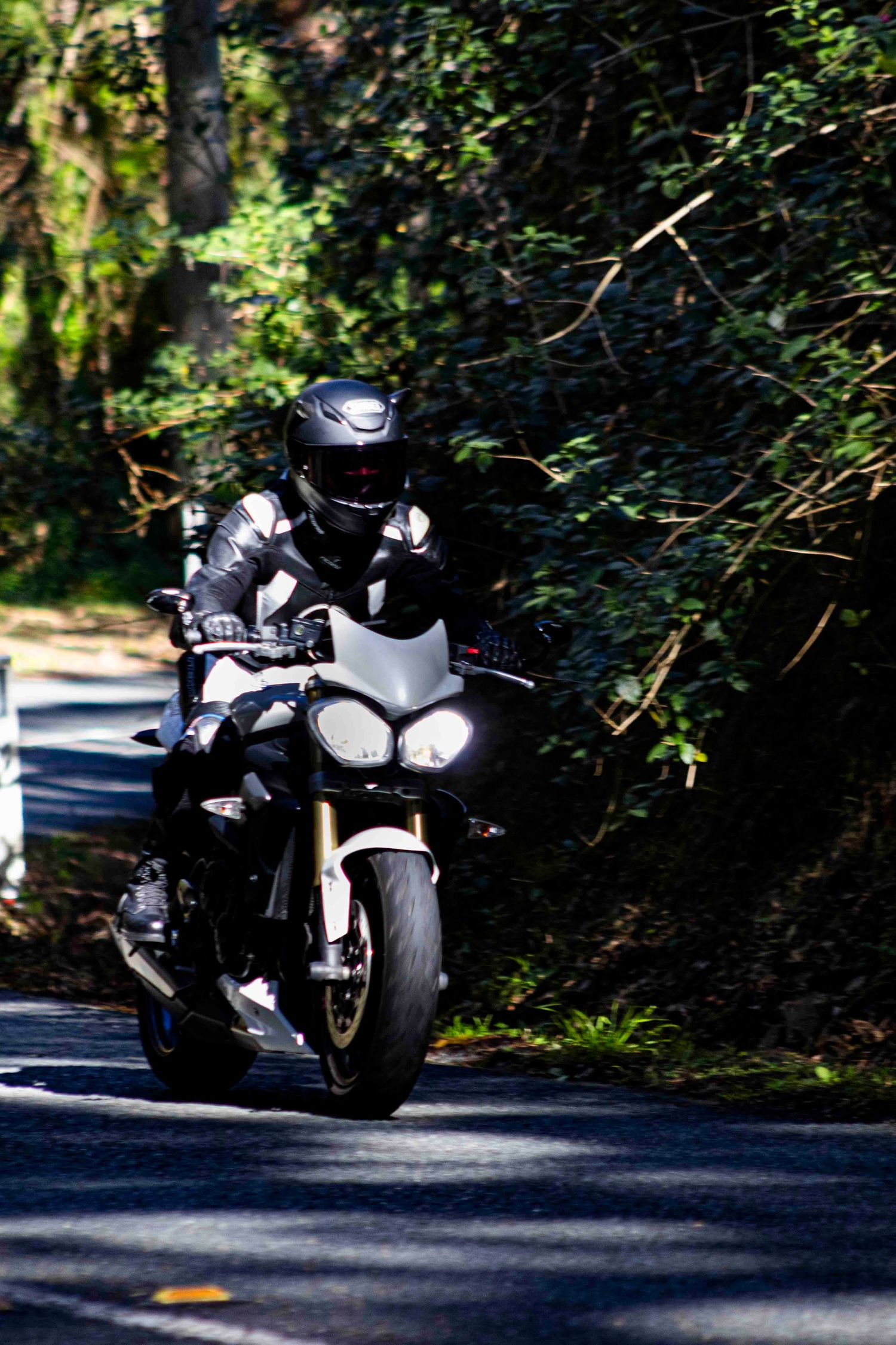 Black sport motorcycle cornering through a tree-lined road at high speed.