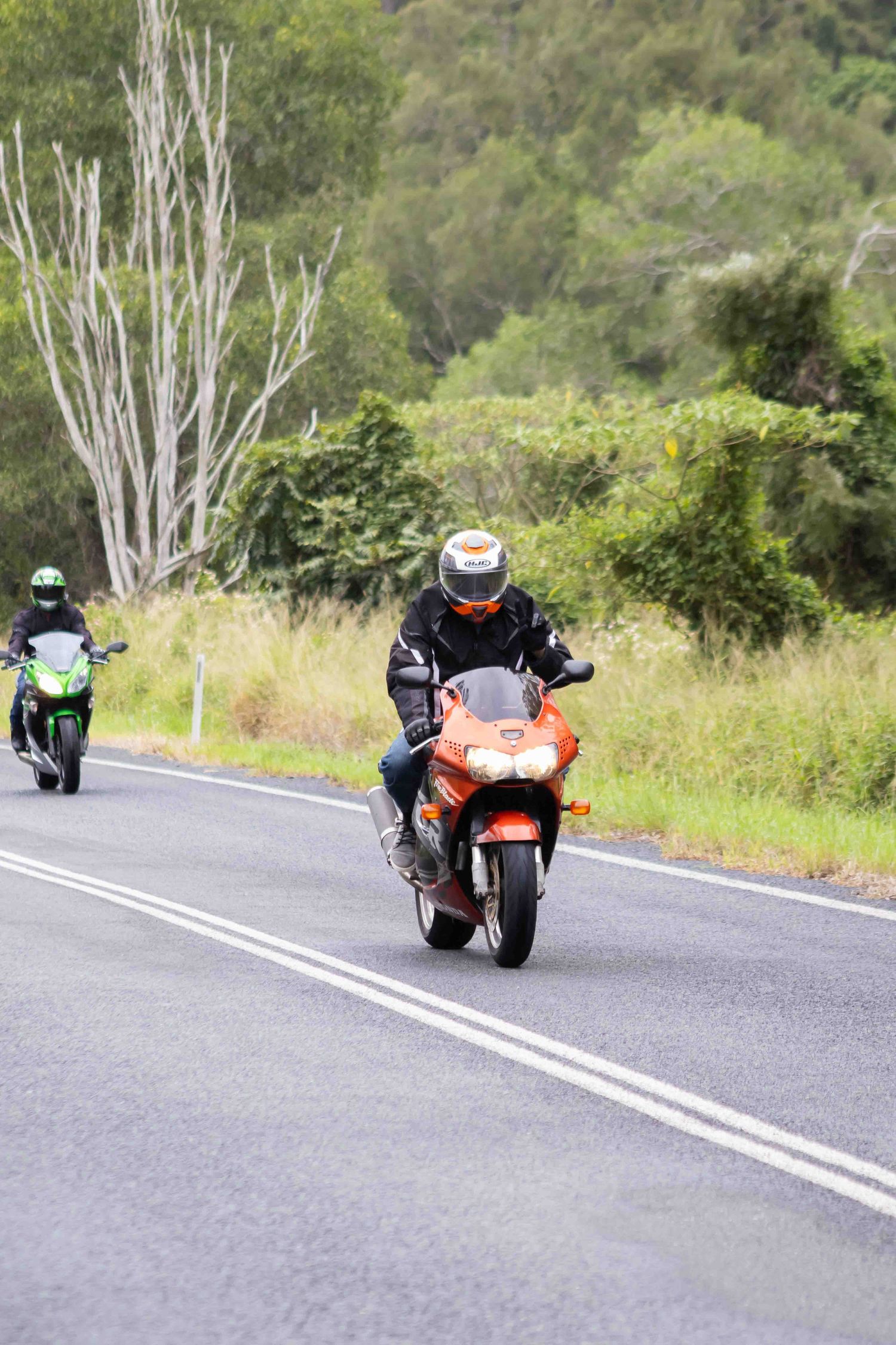 Two motorcyclists riding on a winding rural road with lush green foliage in the background.
