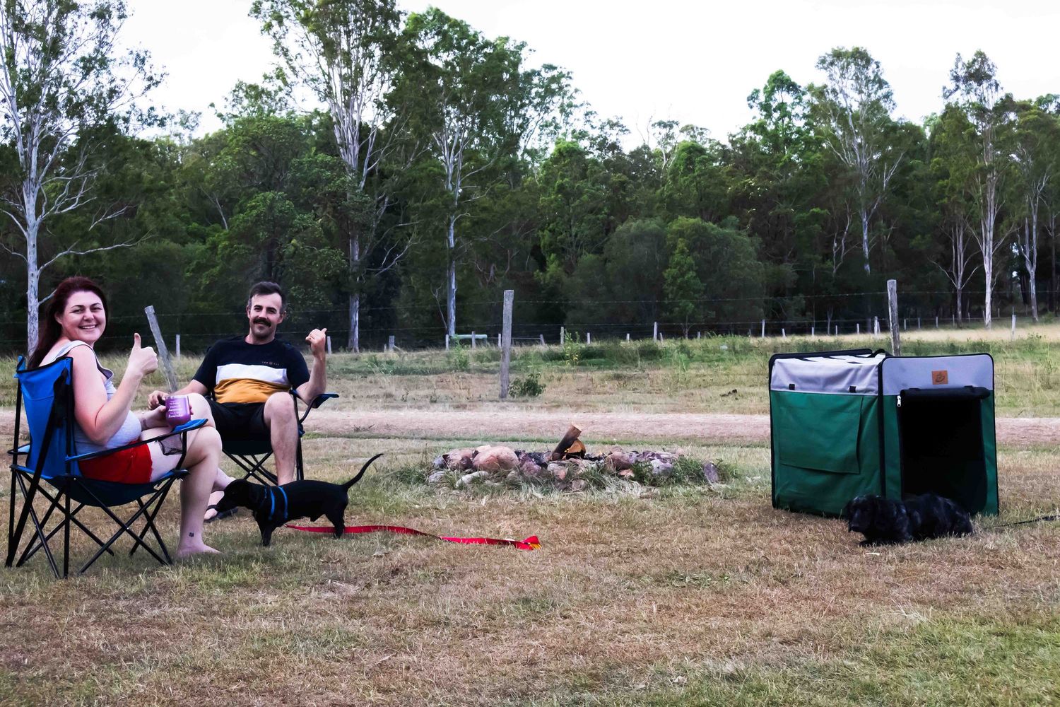 Outdoor gathering with camping chairs and equipment set up in a grassy field.