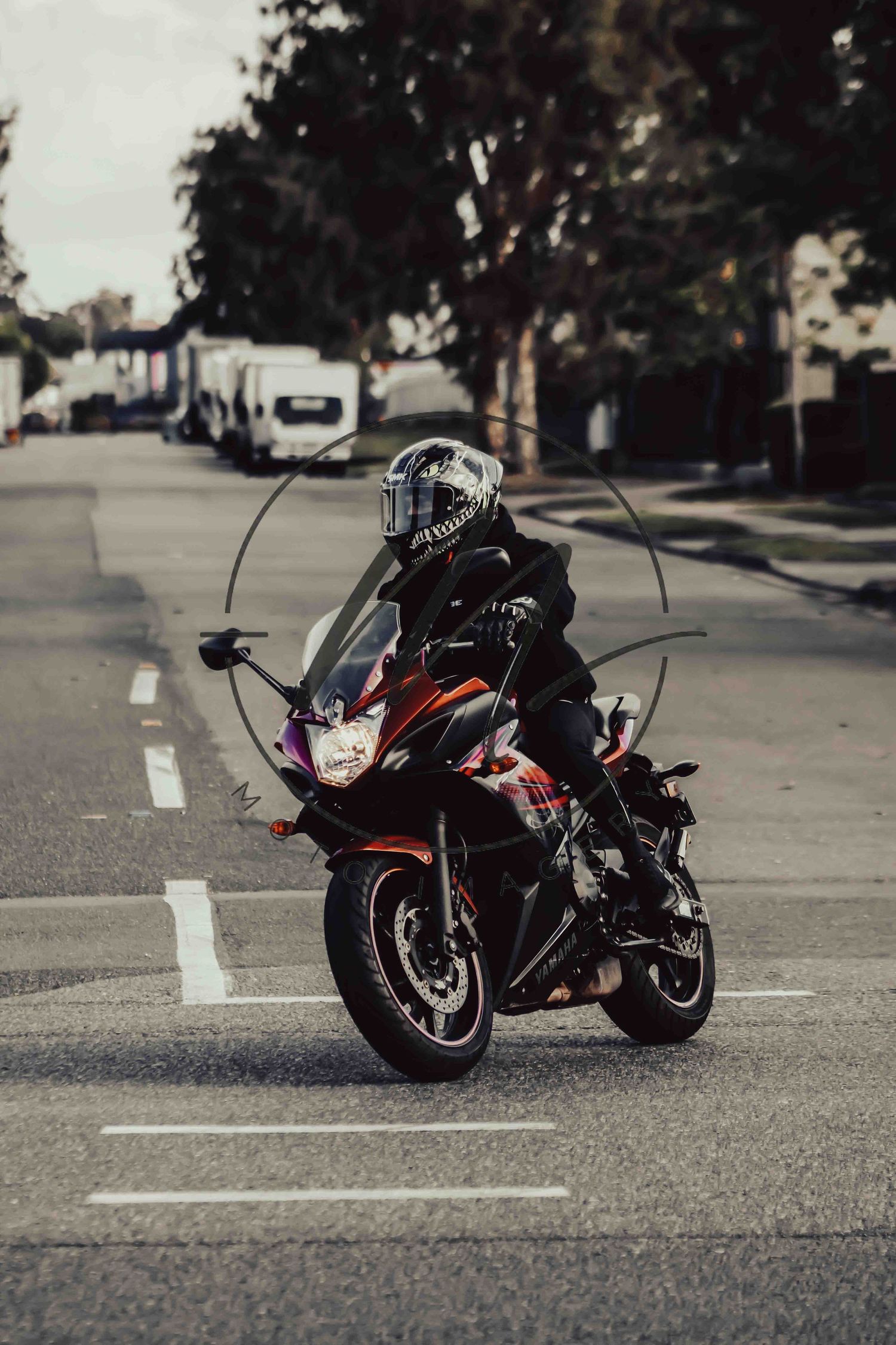 A motorcyclist in black leather jacket and helmet rides a sport bike on a suburban road lined with trees.