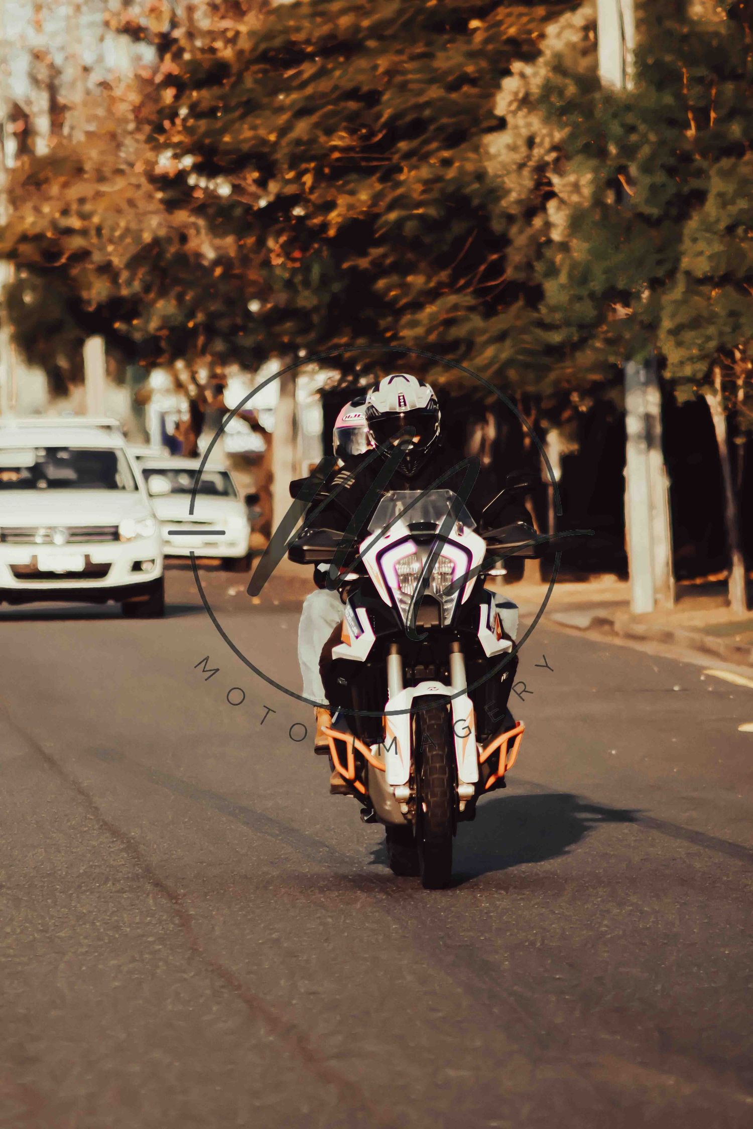 Motorcyclist riding a sport touring bike on a tree-lined street, wearing full gear and helmet.
