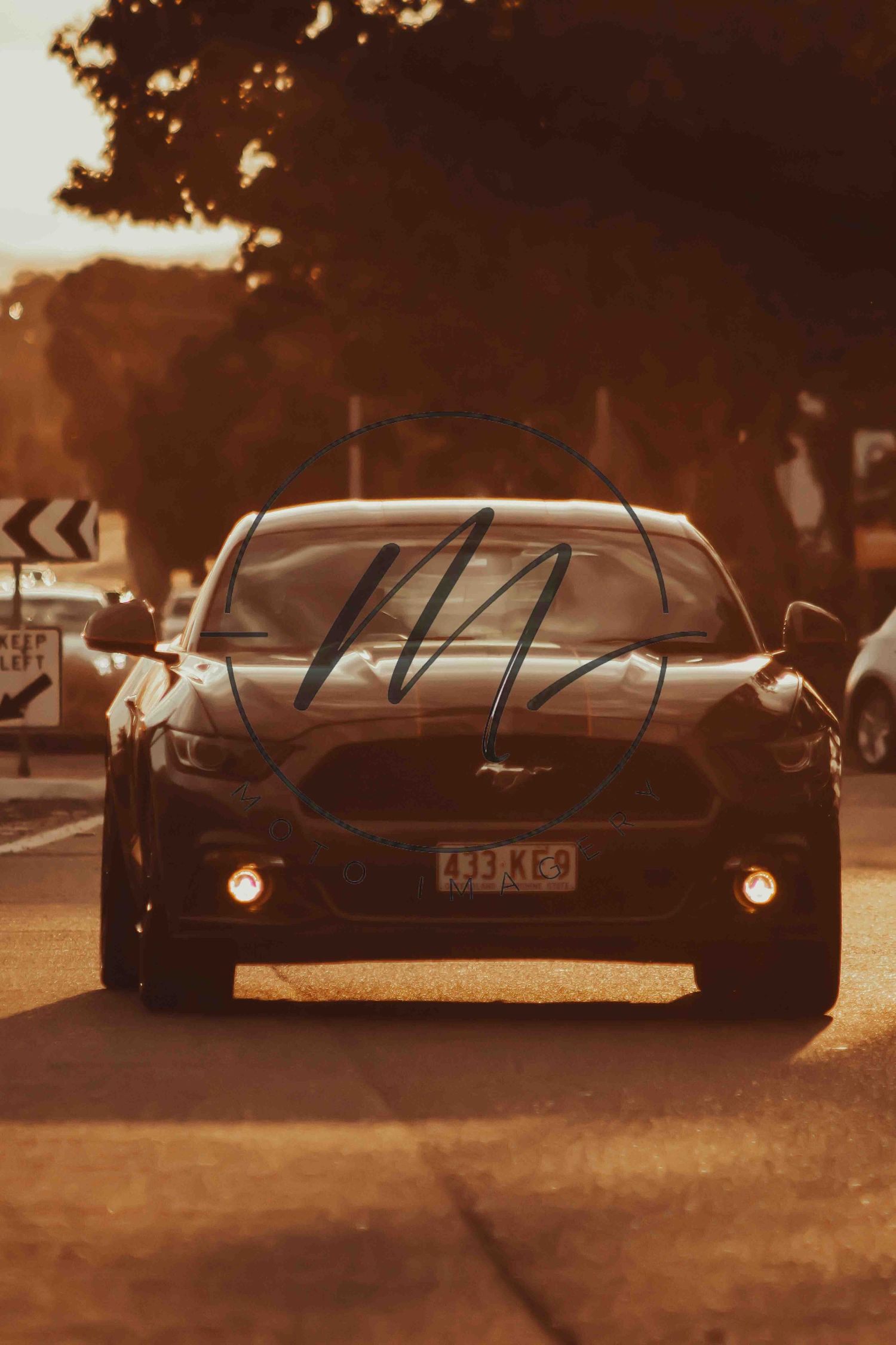A dark Ford Mustang drives toward the camera on a golden sunset-lit road, with trees silhouetted in the warm background.