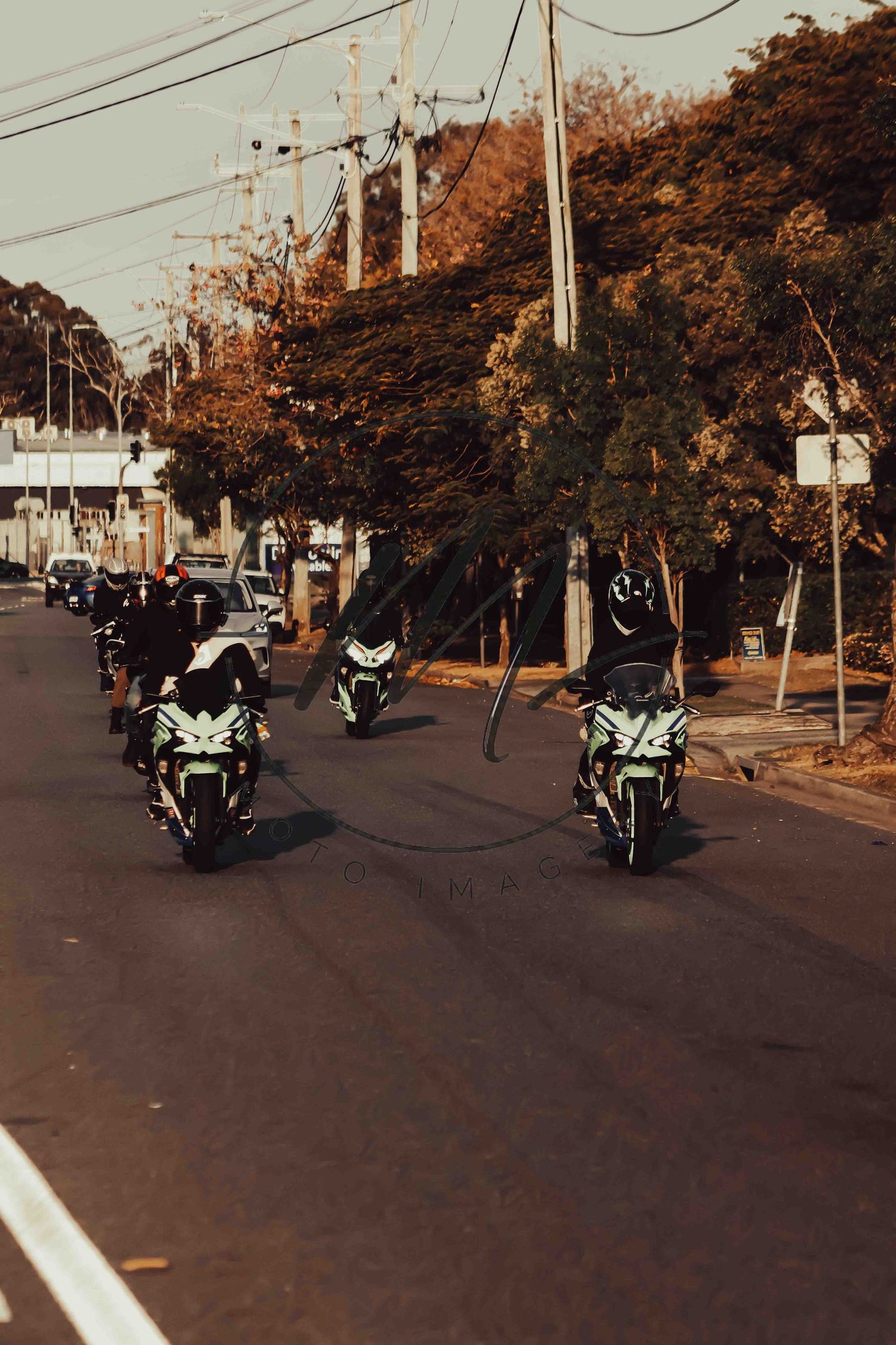 Group of motorcyclists riding sport bikes down a tree-lined urban street during golden hour.