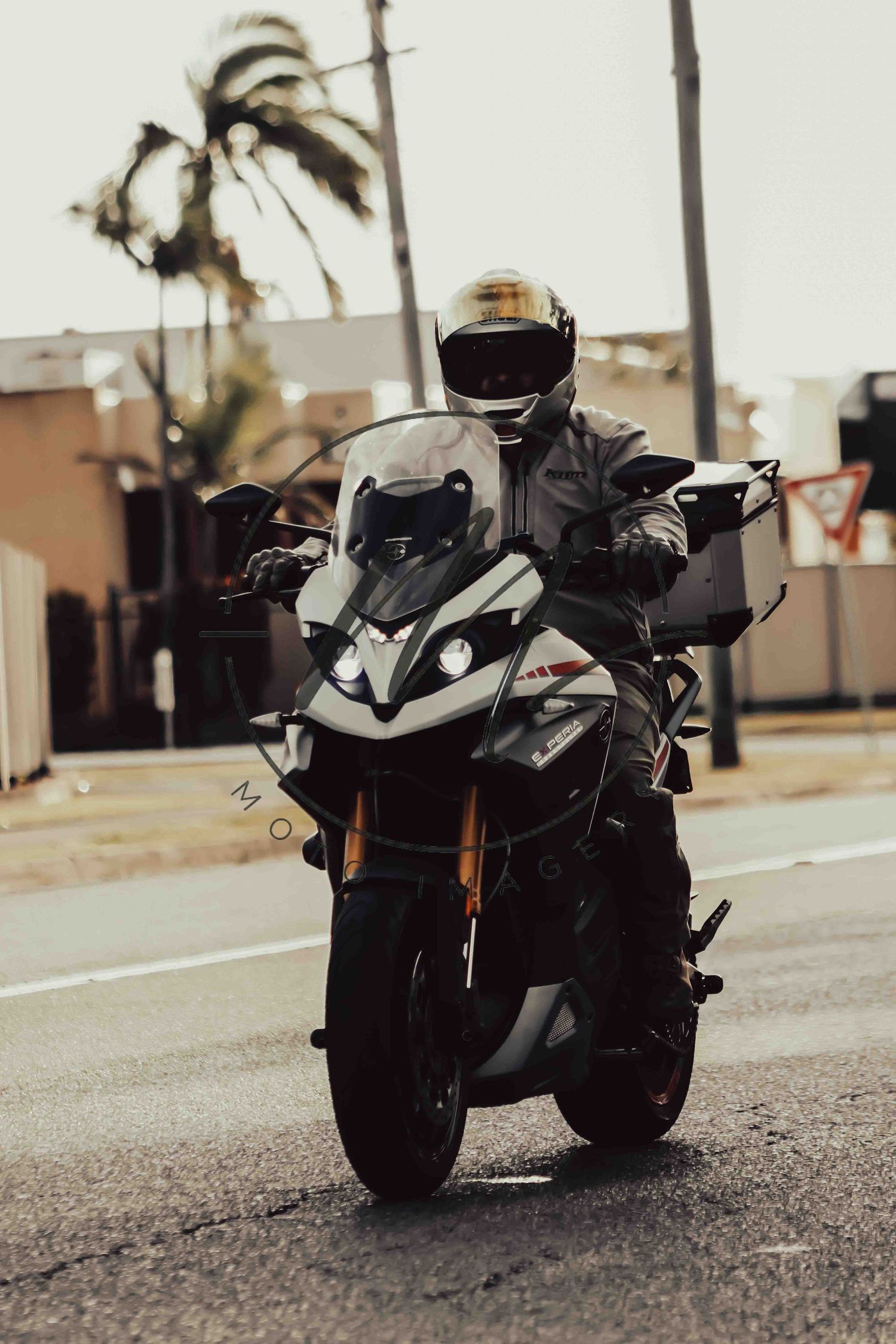A motorcyclist in full gear rides a sport motorcycle on a road with palm trees in the background.