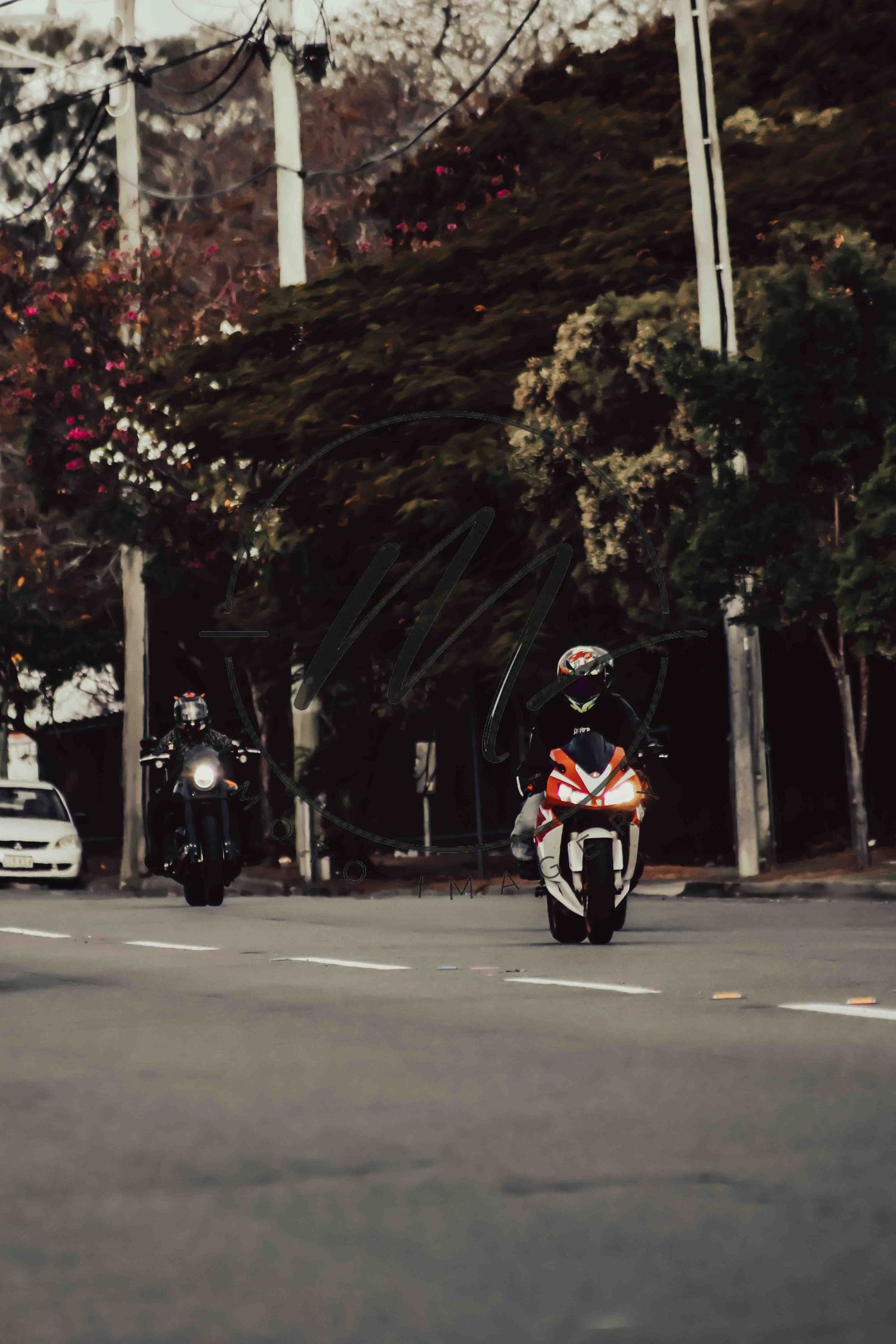 Two motorcyclists riding on a tree-lined street, one on a red sport bike, the other on a dark cruiser motorcycle.
