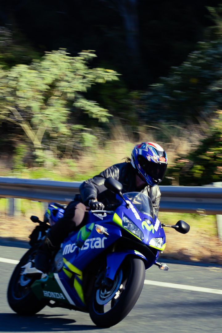 Blue sport bike racing through a winding forest road at high speed.
