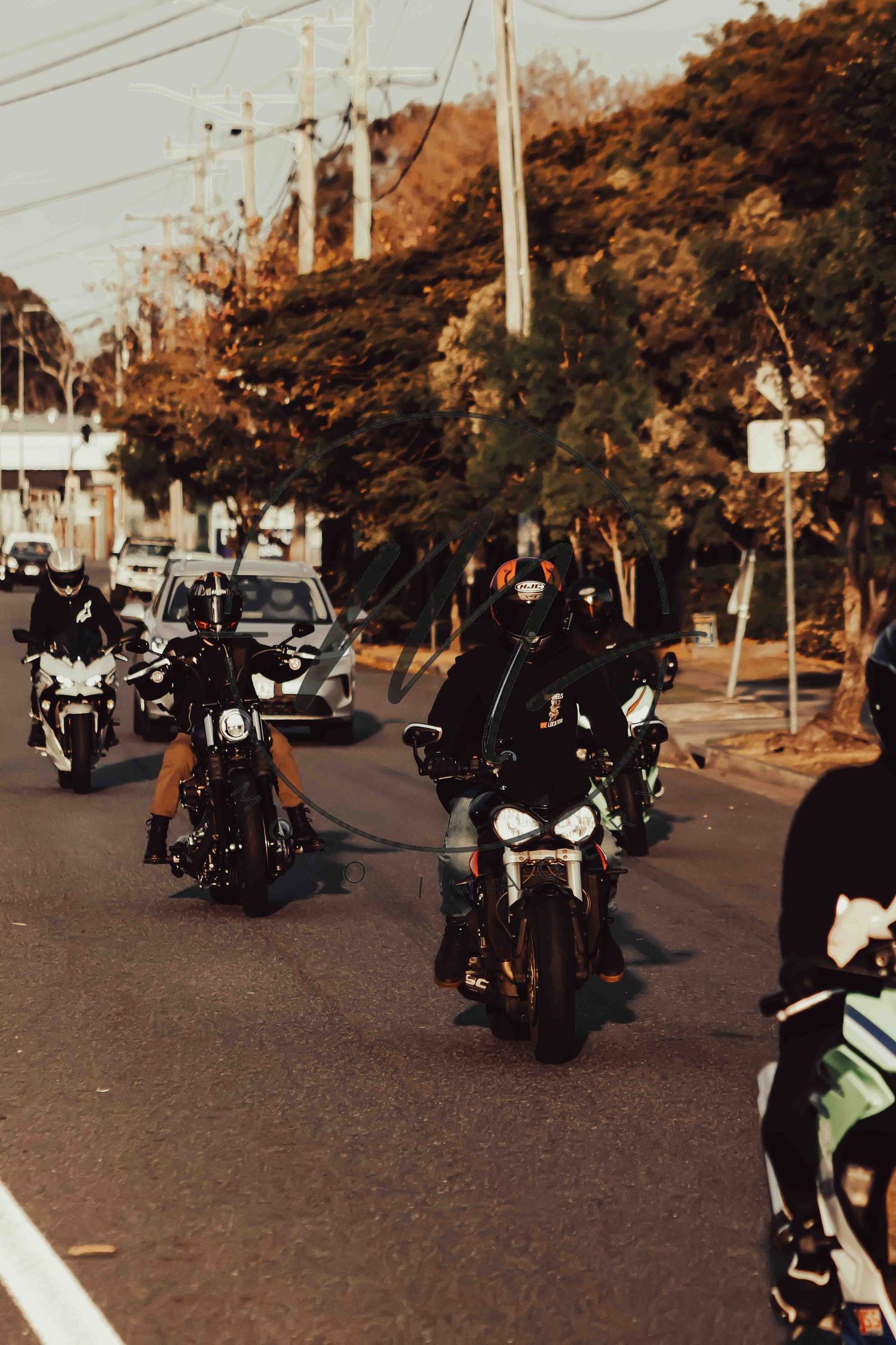 Group of motorcyclists riding in formation down a tree-lined urban street during golden hour.