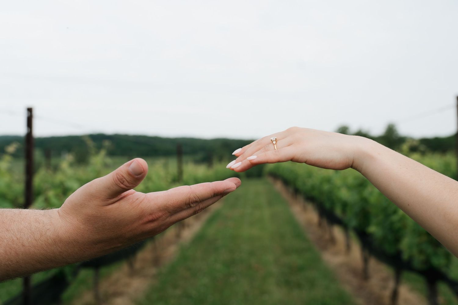 Hands almost touching, showing off engagement ring at Stone Tower Winery in Leesburg, Virginia