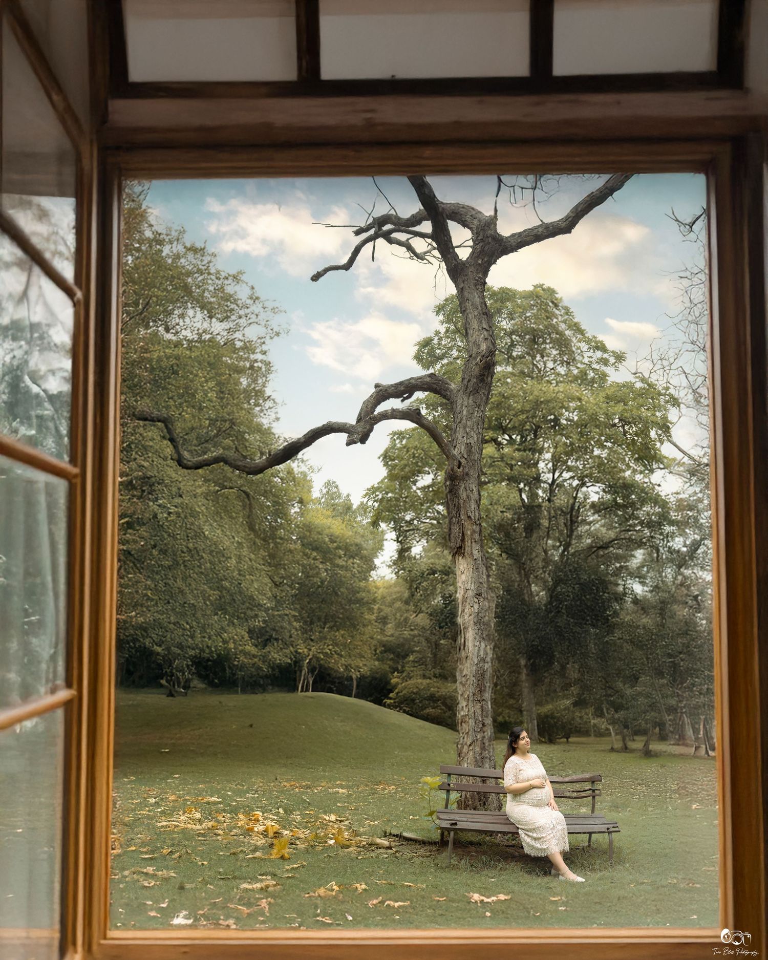 Through a wooden window frame, a view of a park-like setting with autumn trees and scattered leaves can be seen.