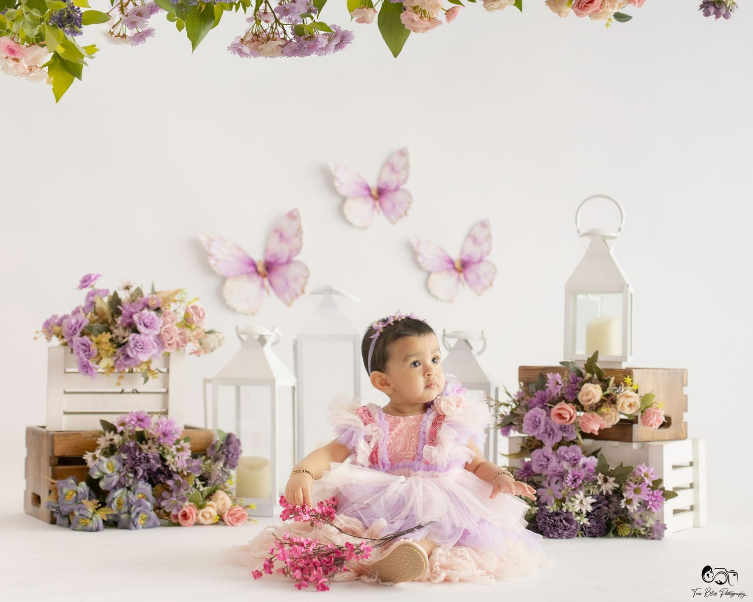 Baby girl in pink dress sits among floral arrangements, butterfly decorations, and lanterns in a whimsical studio portrait.